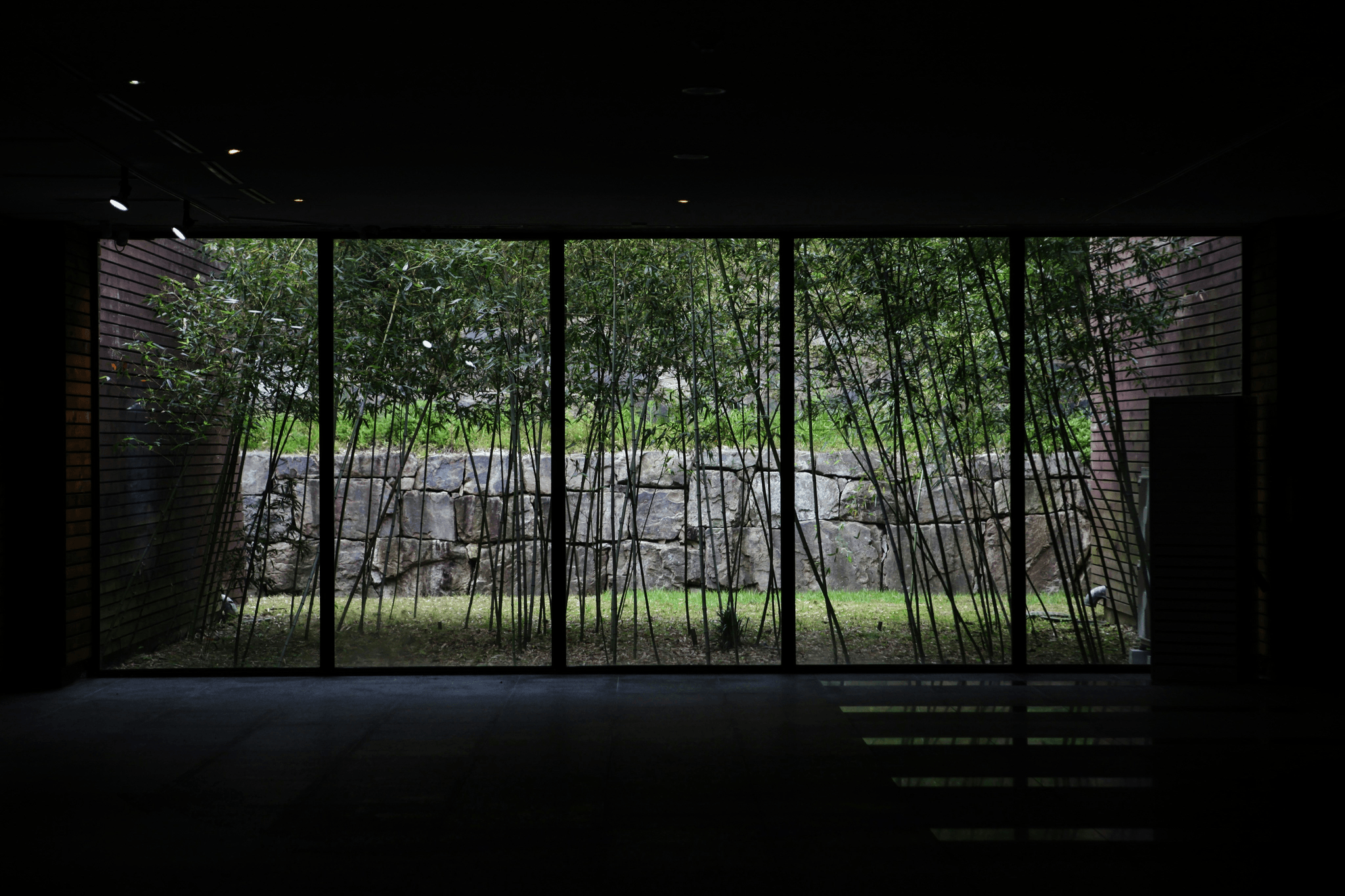 Eco-friendly interior design in a containerized housing unit