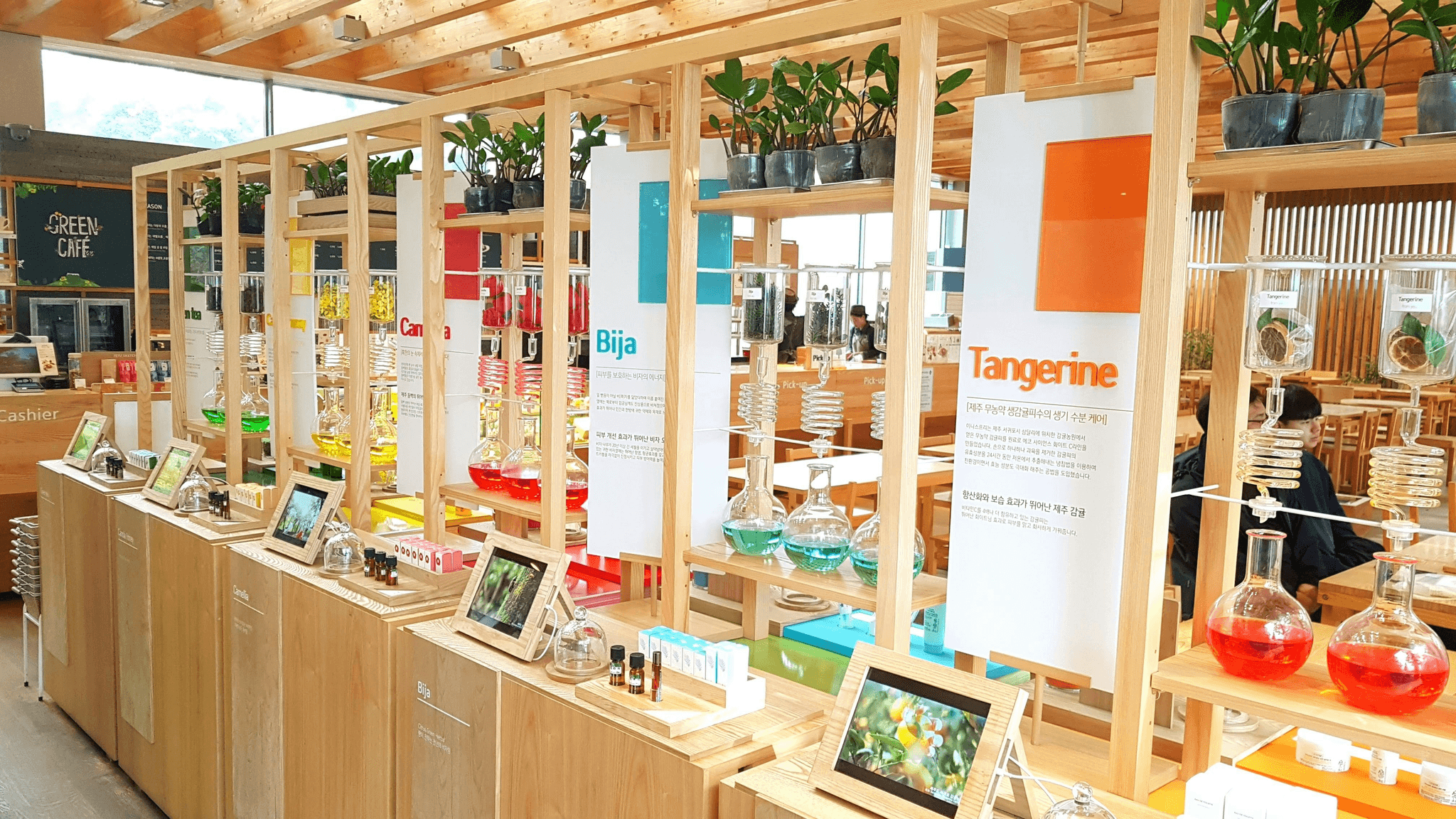 Innovative container shop design featuring an open concept layout.