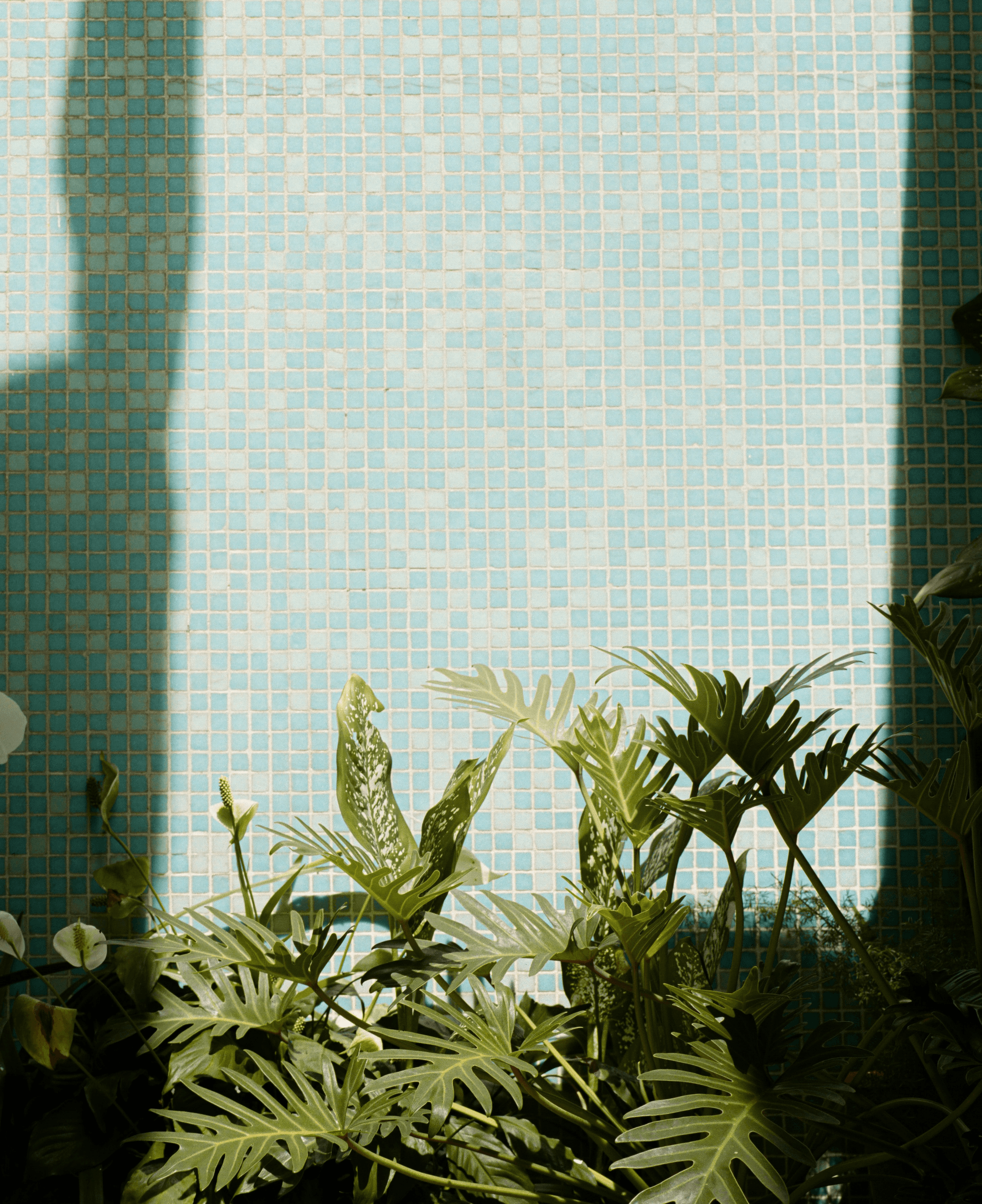 Eco-friendly tiles manufacturers leading sustainable production methods