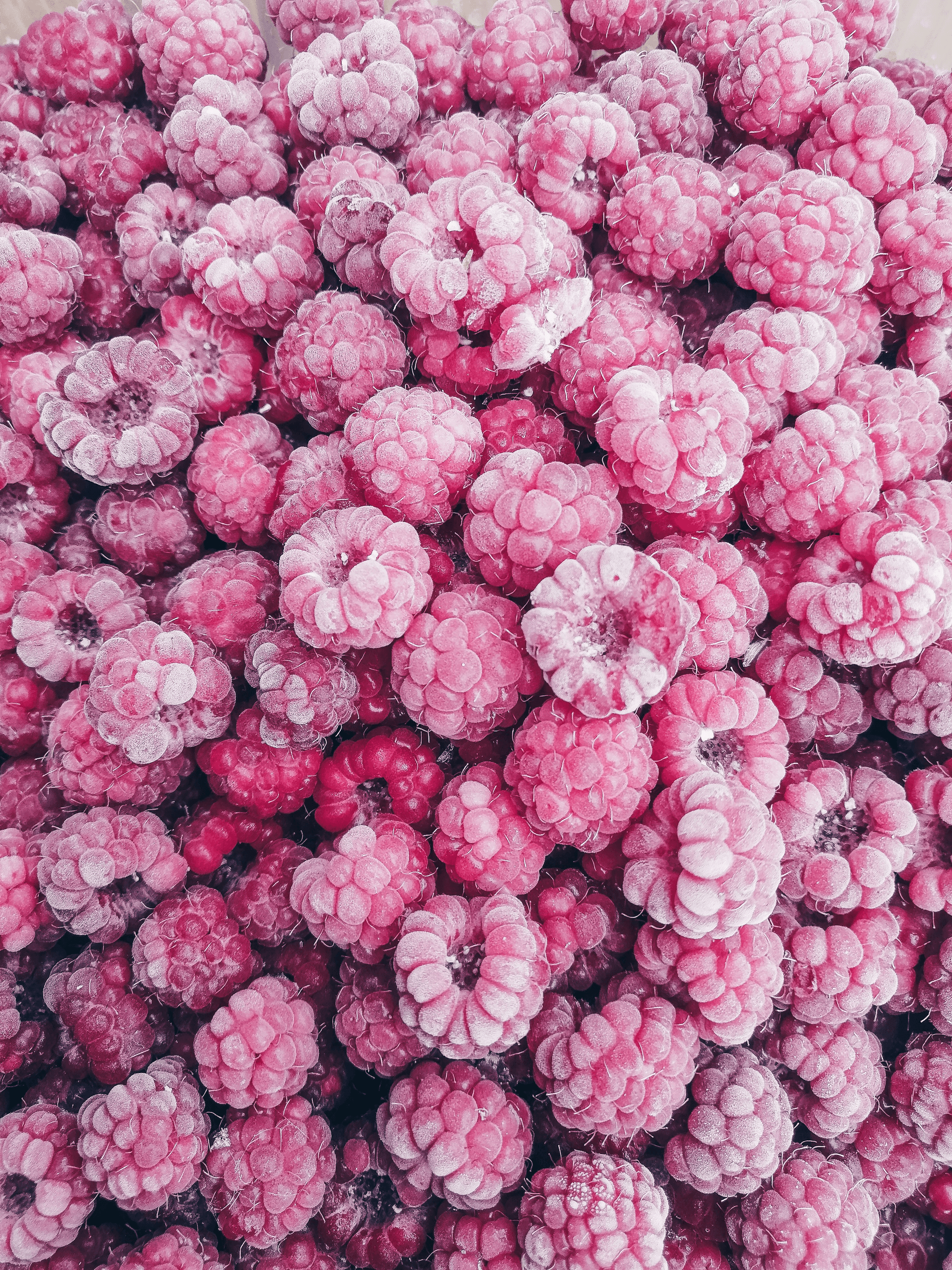 dry freeze raspberry pieces displayed beautifully