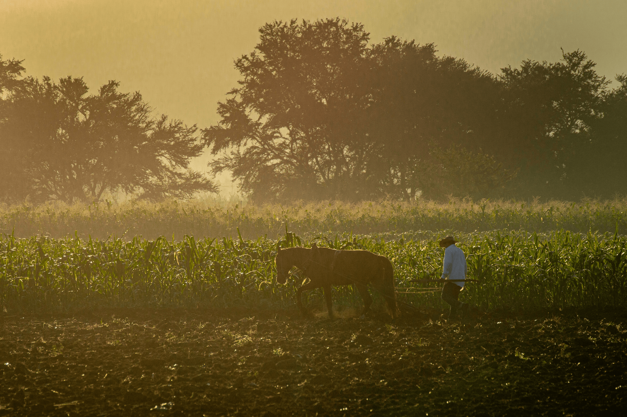 camping sauvage dordogne
