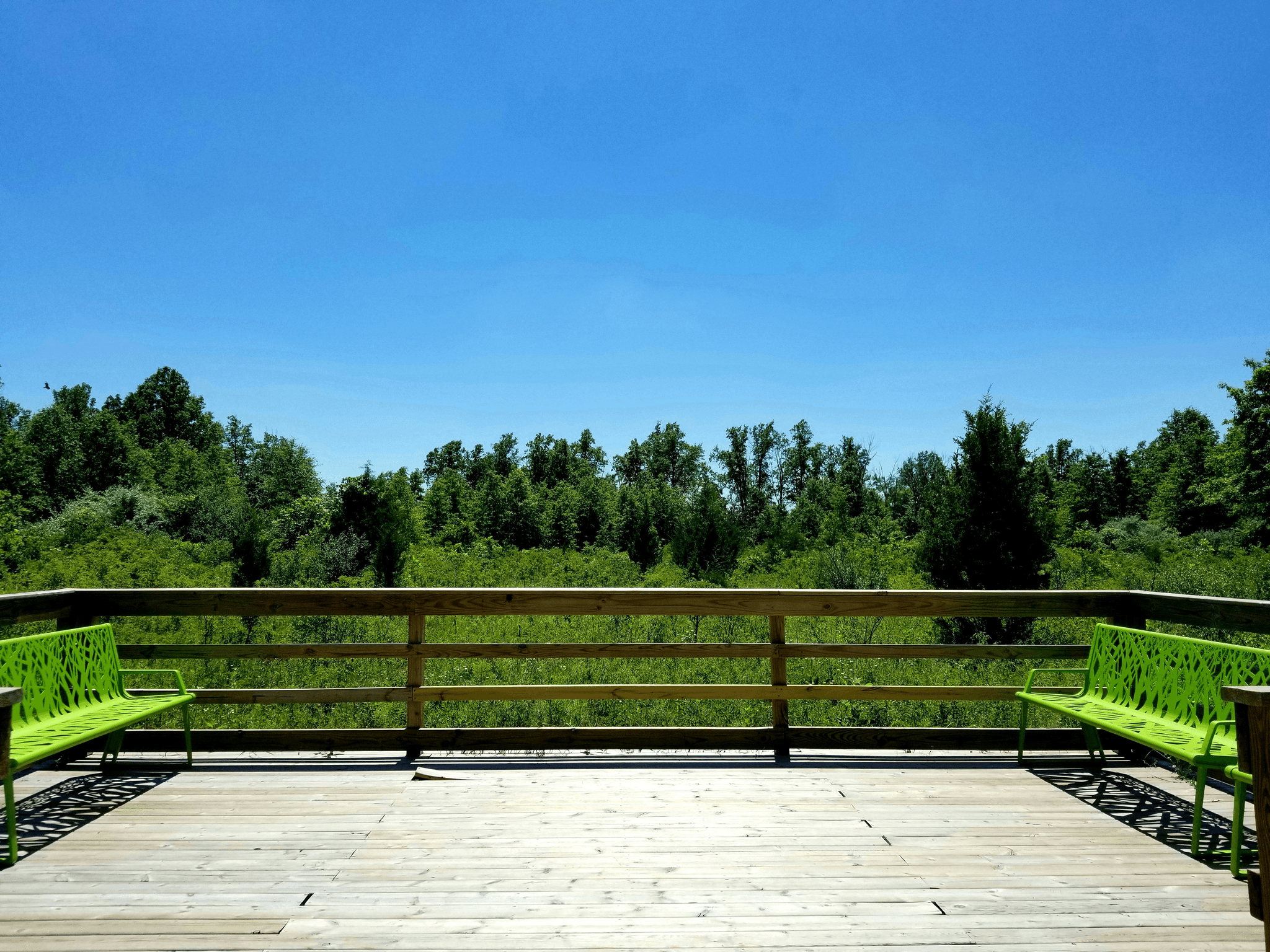 pvc decking enhancing outdoor space with vibrant aesthetics