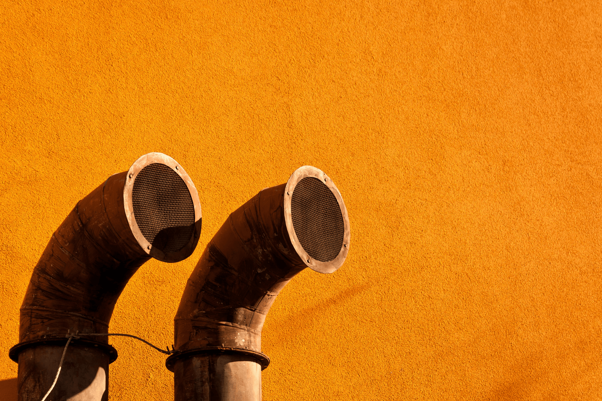 Explore top choices for a good car horn