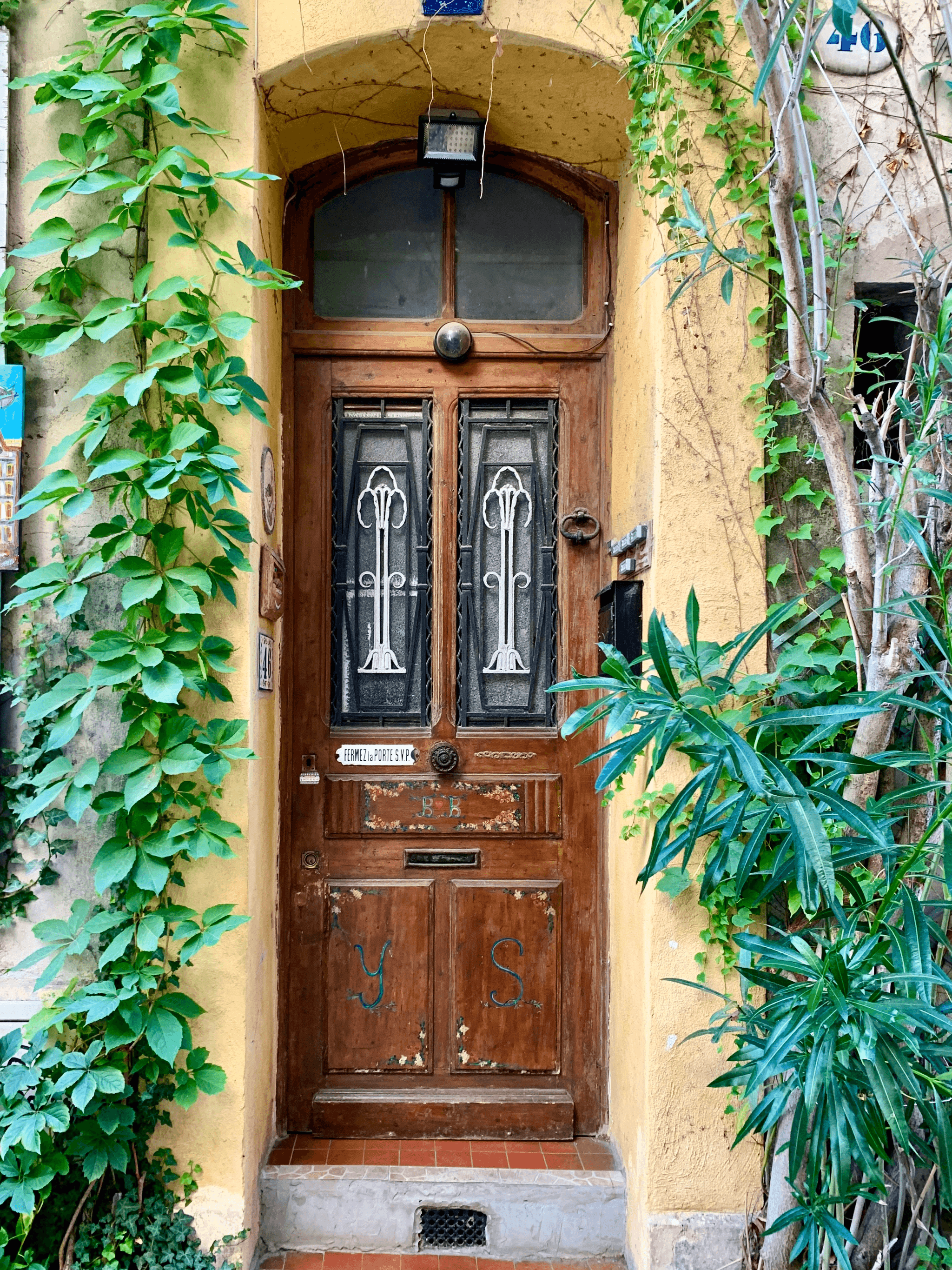 Best window and door company - Elegant front door framed by greenery