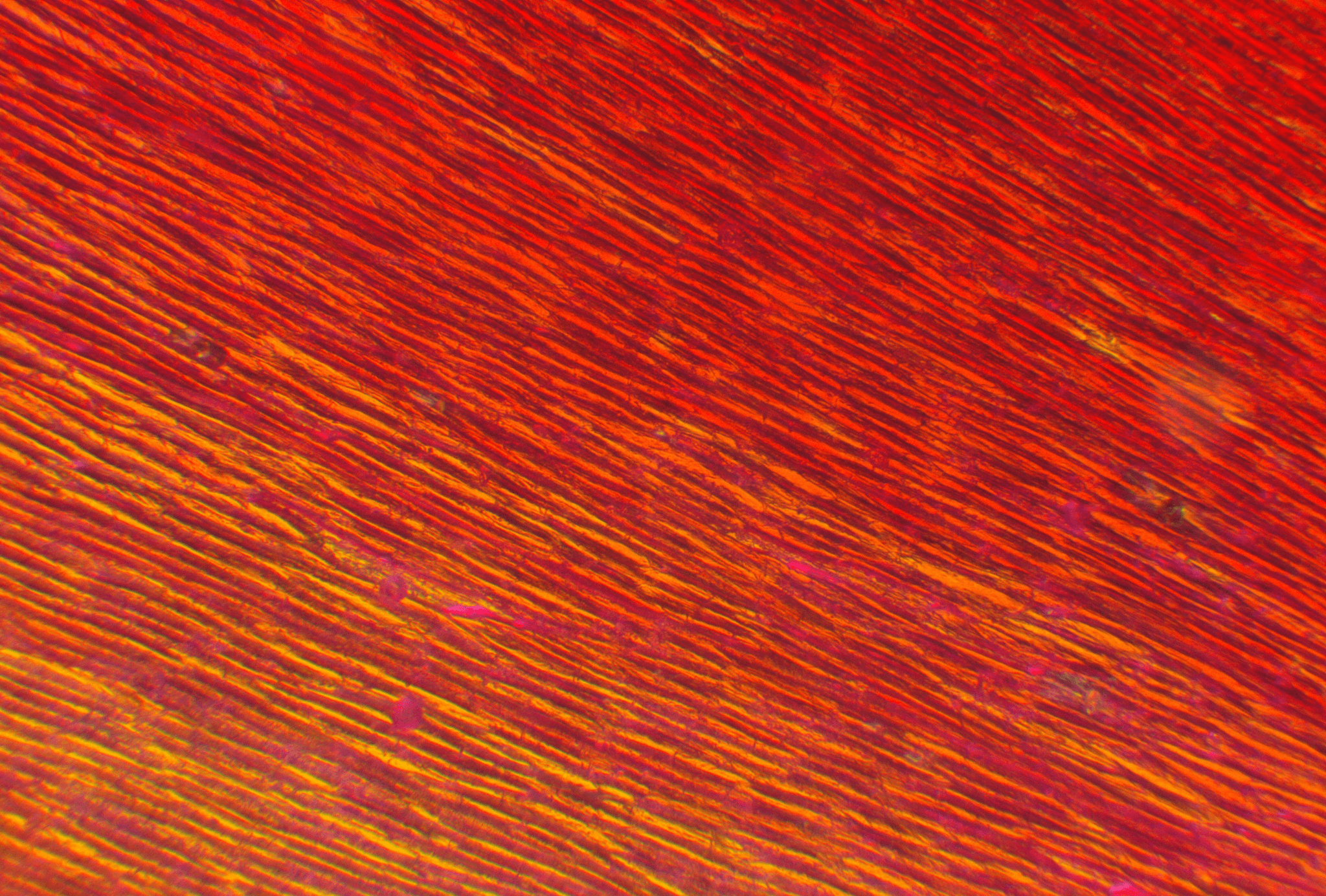 認識腸病毒 Enterovirus：症狀、傳染途徑｜8大預防秘訣｜淺顯易懂的行醫筆記｜療寮診所．板橋江子翠｜家醫科診所．健保一般科