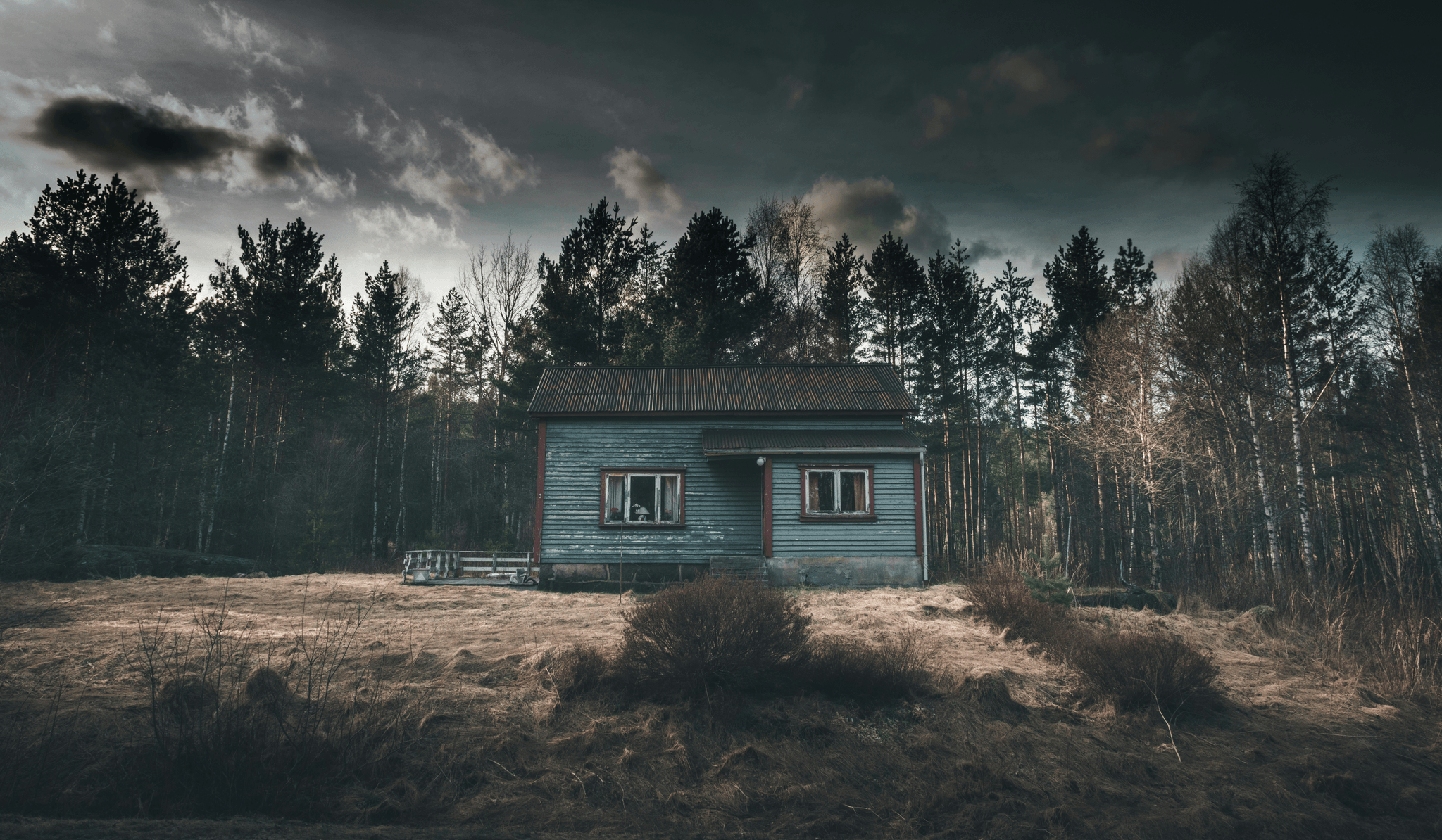 Sturdy prefab tiny cabin nestled in nature