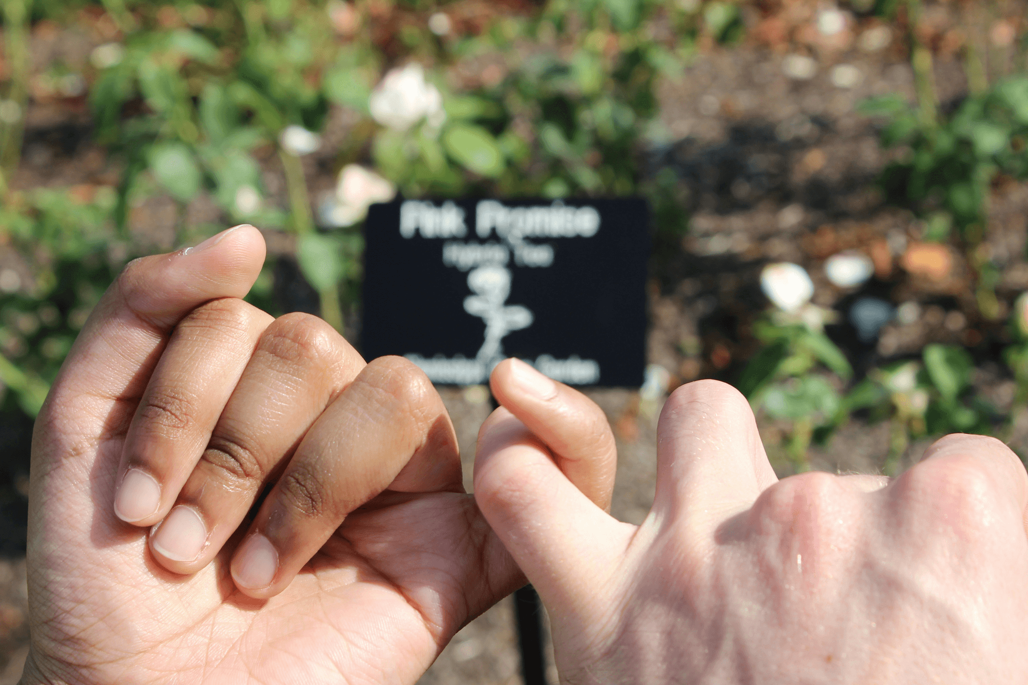 sustainable material sourcing partnerships