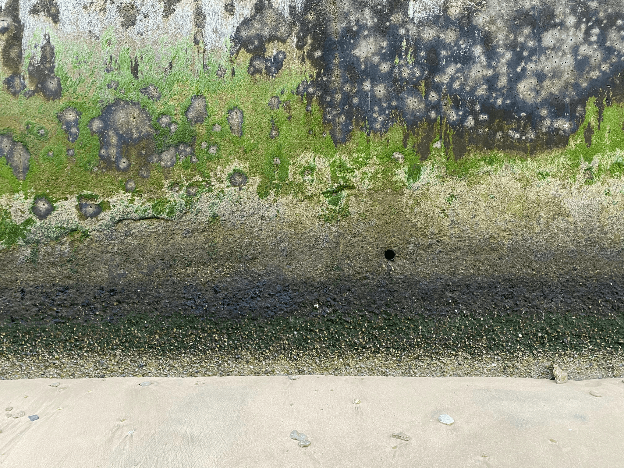 celina tx cleaning disinfection