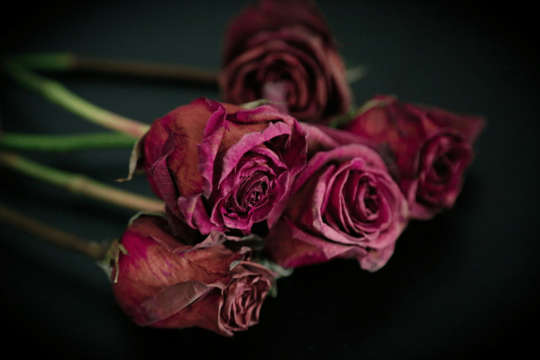 Discounted dried rose petals and rosebuds in wicker basket.