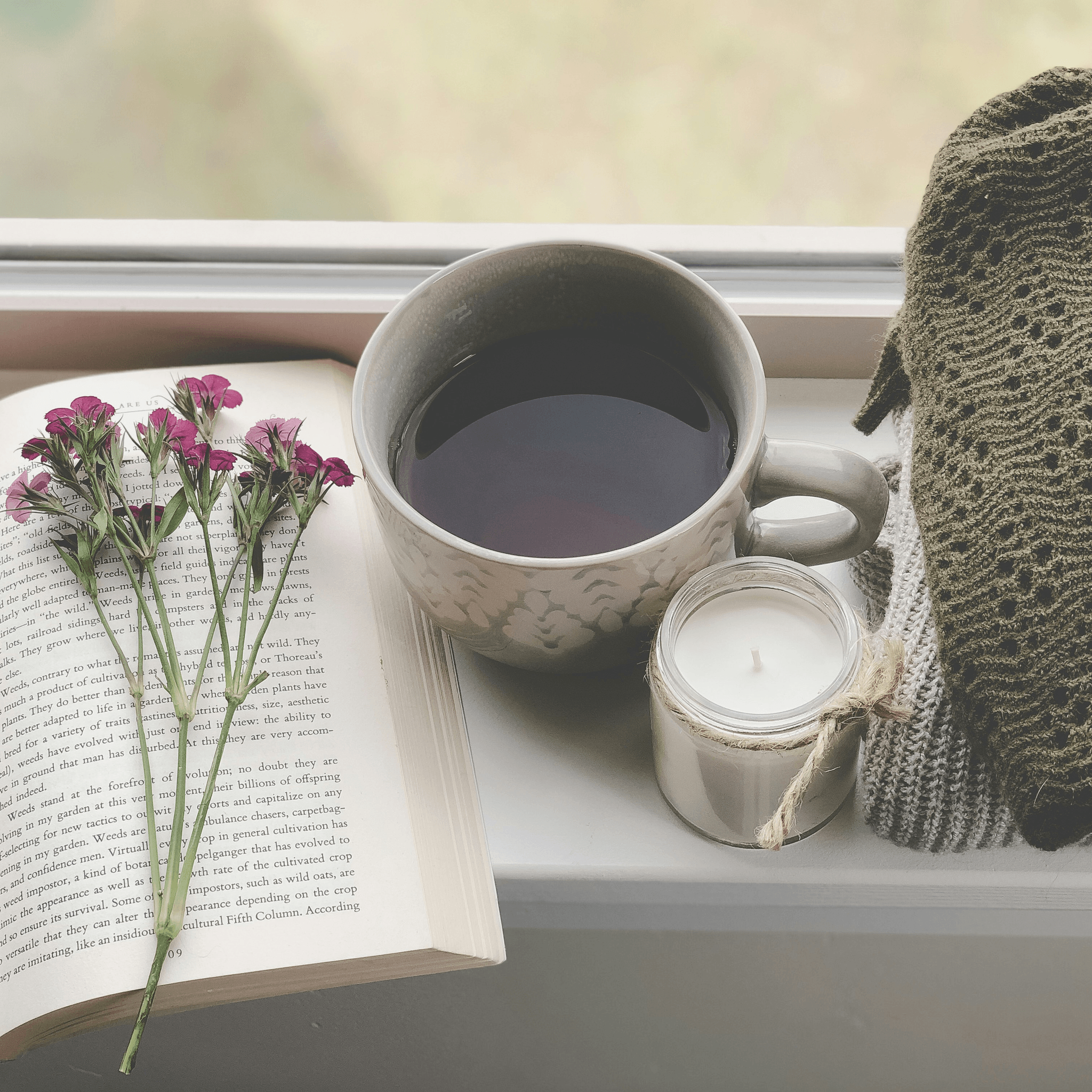 Take a stroll through the picturesque grounds of Newton Avocado Manor. Wander among our avocado groves and rose gardens, and immerse yourself in the tranquility of our working farm. Explore the Grounds What We Offer The posh guest flat at Newton Avocado Manor. Stay at a real working Avocado and Rose farm in Southern California.