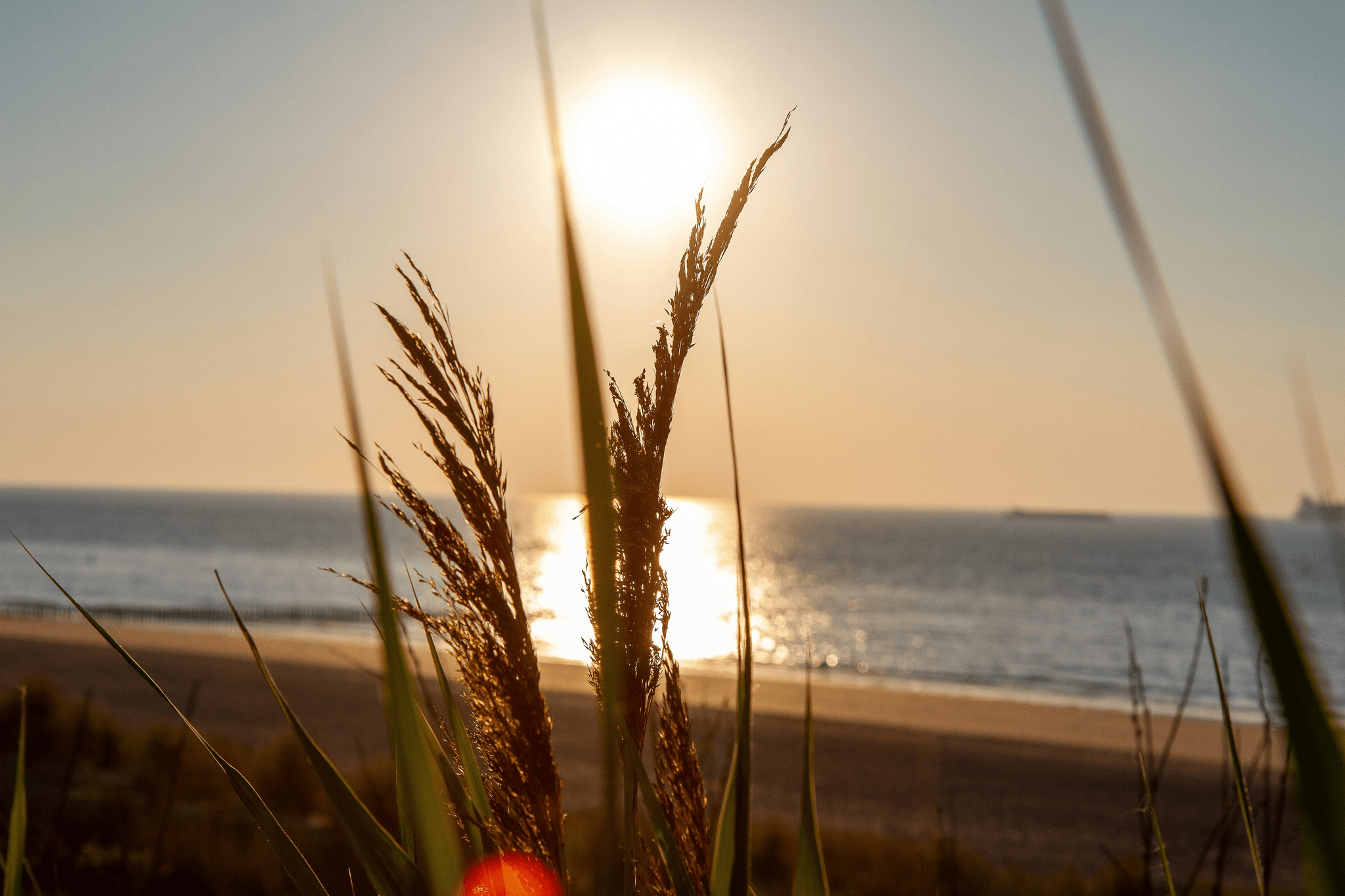 We offer tailored coaching that takes into account female physiology. Each program is designed to help our clients strengthen their bodies and improve their physical condition with respect and safely. Personalized Sports Coaching Our Commitment ONA Praxis is an expert support space, dedicated to women who wish to take control of their bodies - with awareness, precision, and respect. We offer intelligent sports and body coaching, respectful of female physiology, which develops awareness of movement, precision of motion, and long-term autonomy.