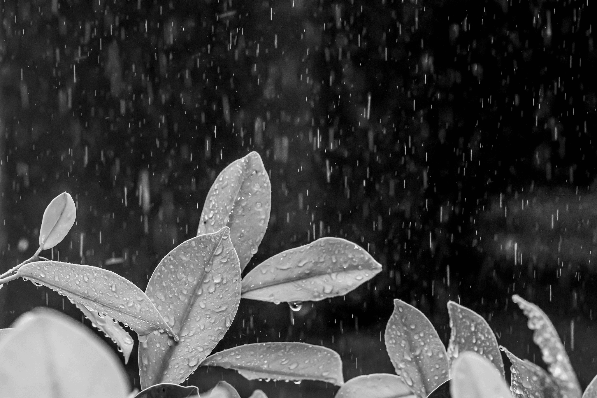 Befriending Uncertainty Selfcare Mindset Healing