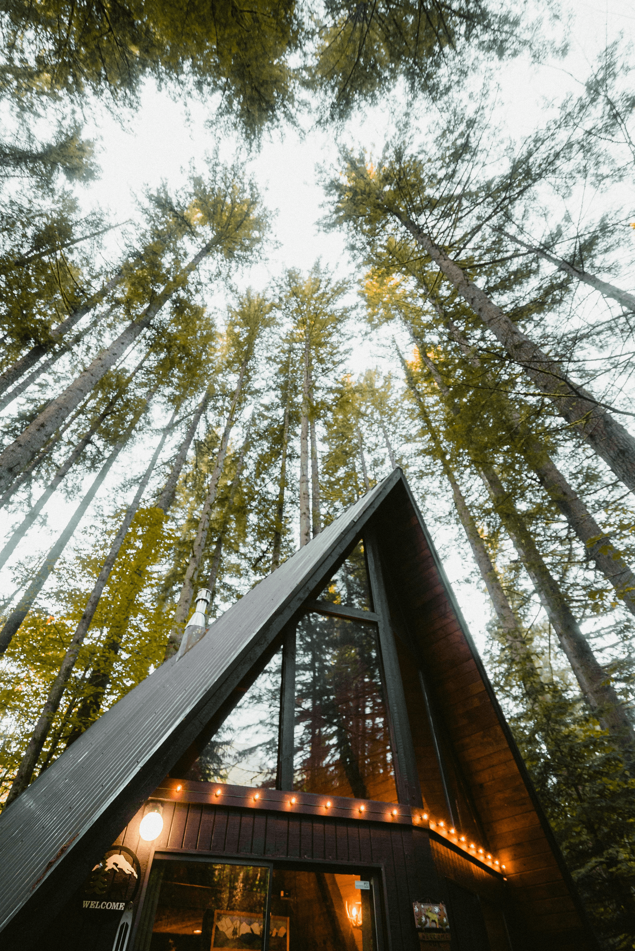prefab cabins under 100k offer affordable luxury in nature