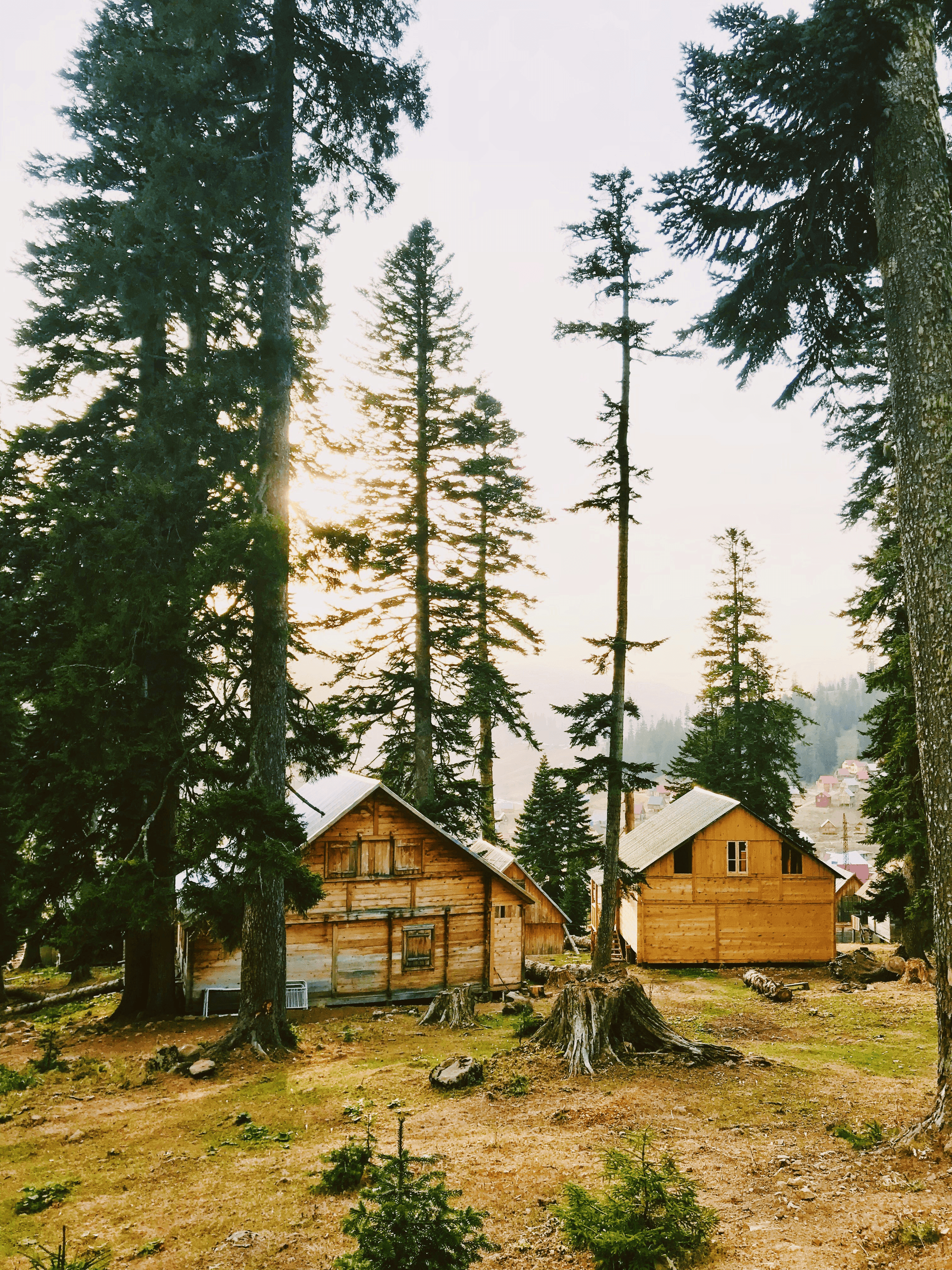 Timeless design elements in backyard unlimited storage cabins