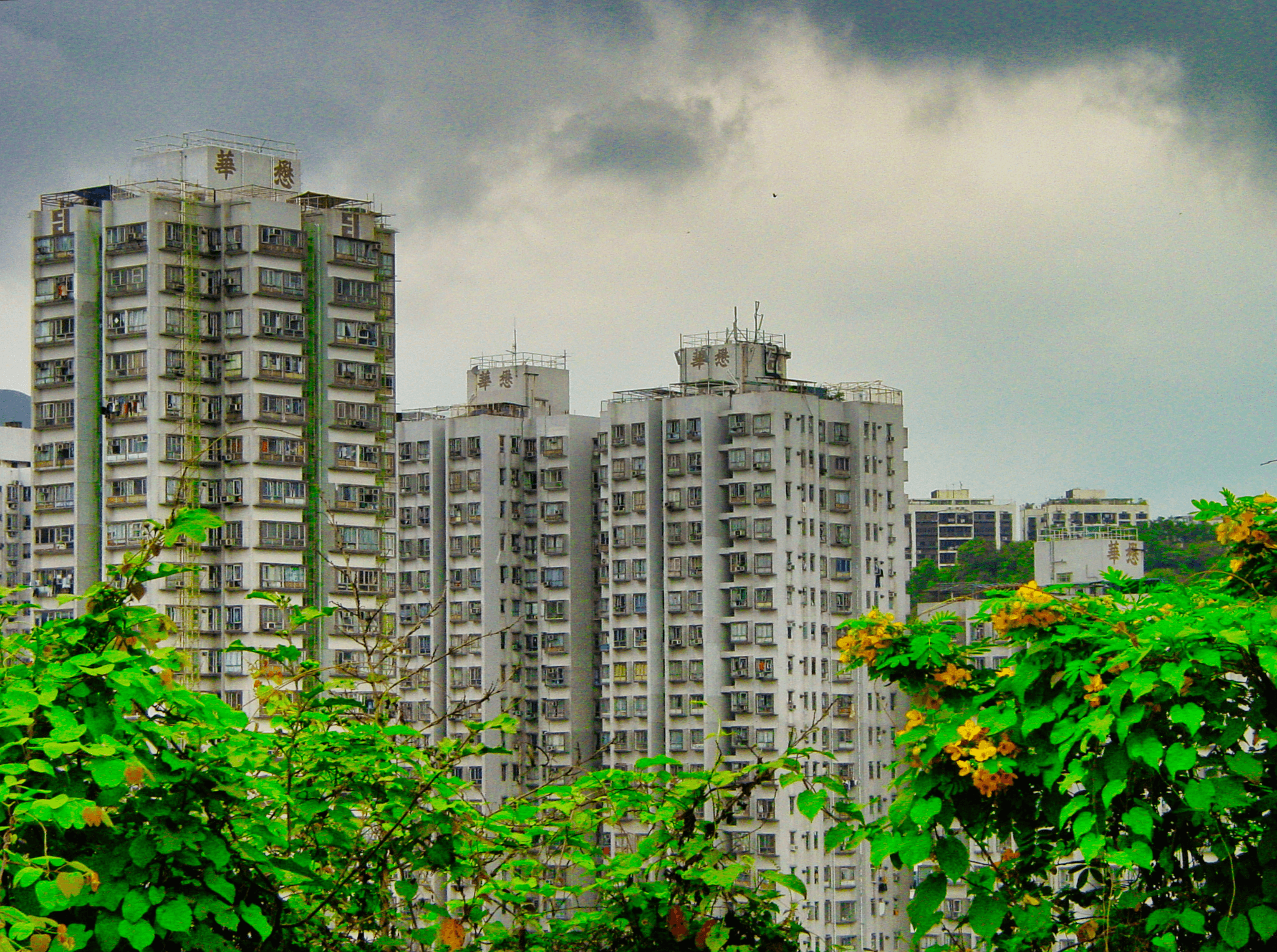 Modern apartment building surrounded by greenery