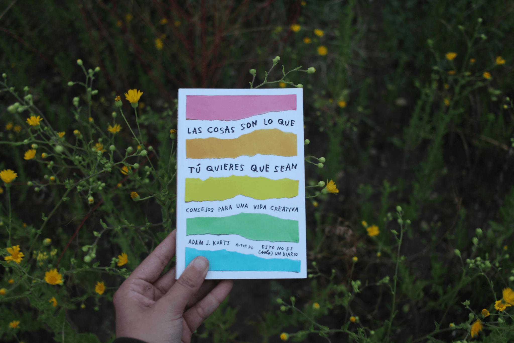 HPV 是什麼？誰會得？怎麼預防？完整解析人類乳突病毒｜淺顯易懂的行醫筆記｜療寮診所．板橋江子翠｜家醫科診所．健保一般科