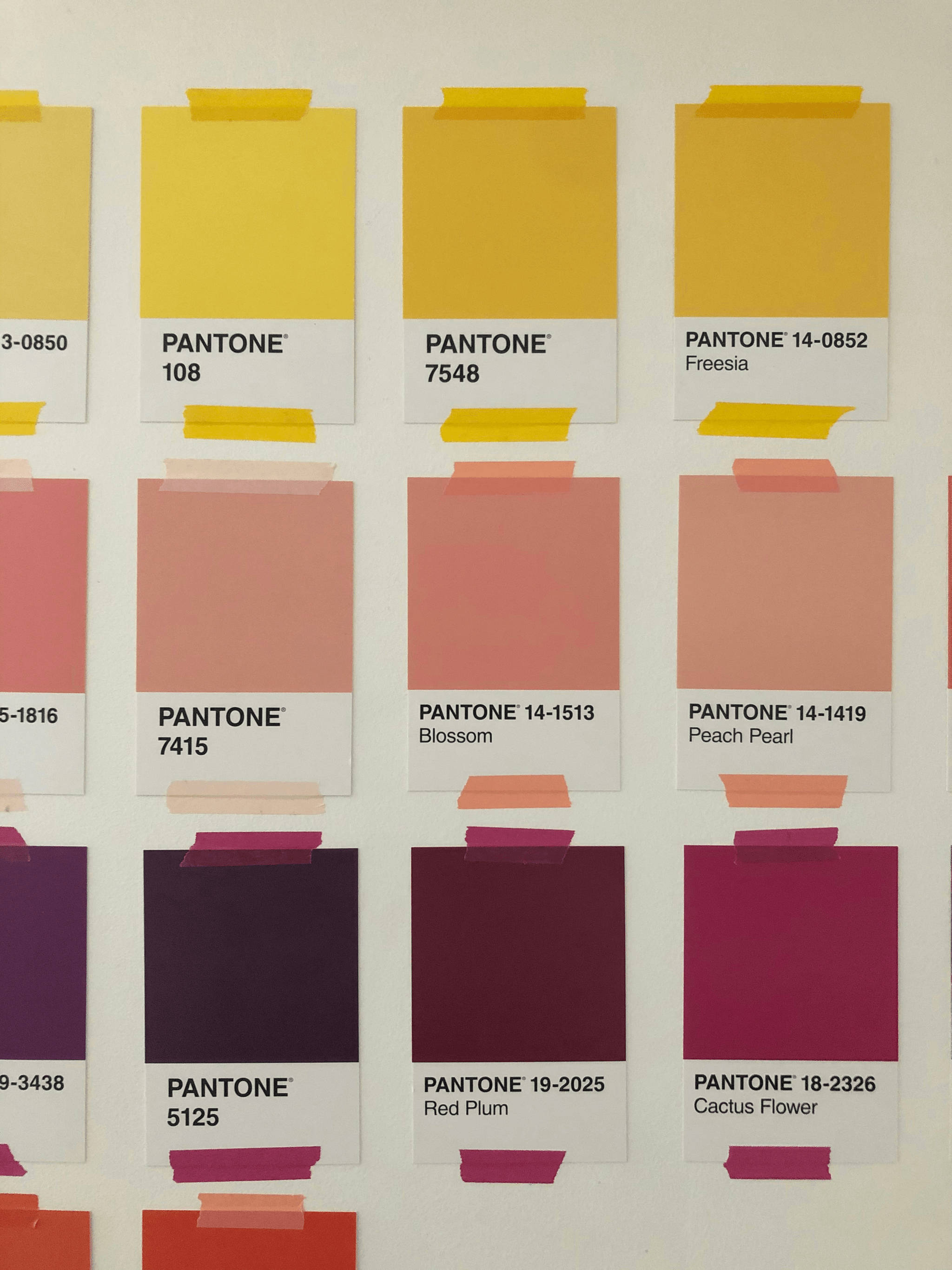 Product Inspection using Pantone swatches for accurate color comparison