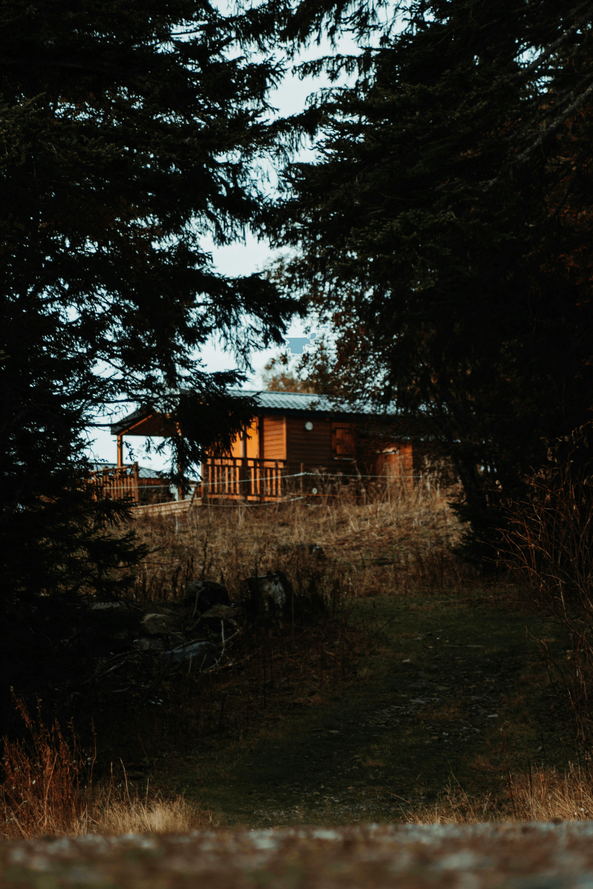 Well-maintained pre built cabin surrounded by trees under $50 000