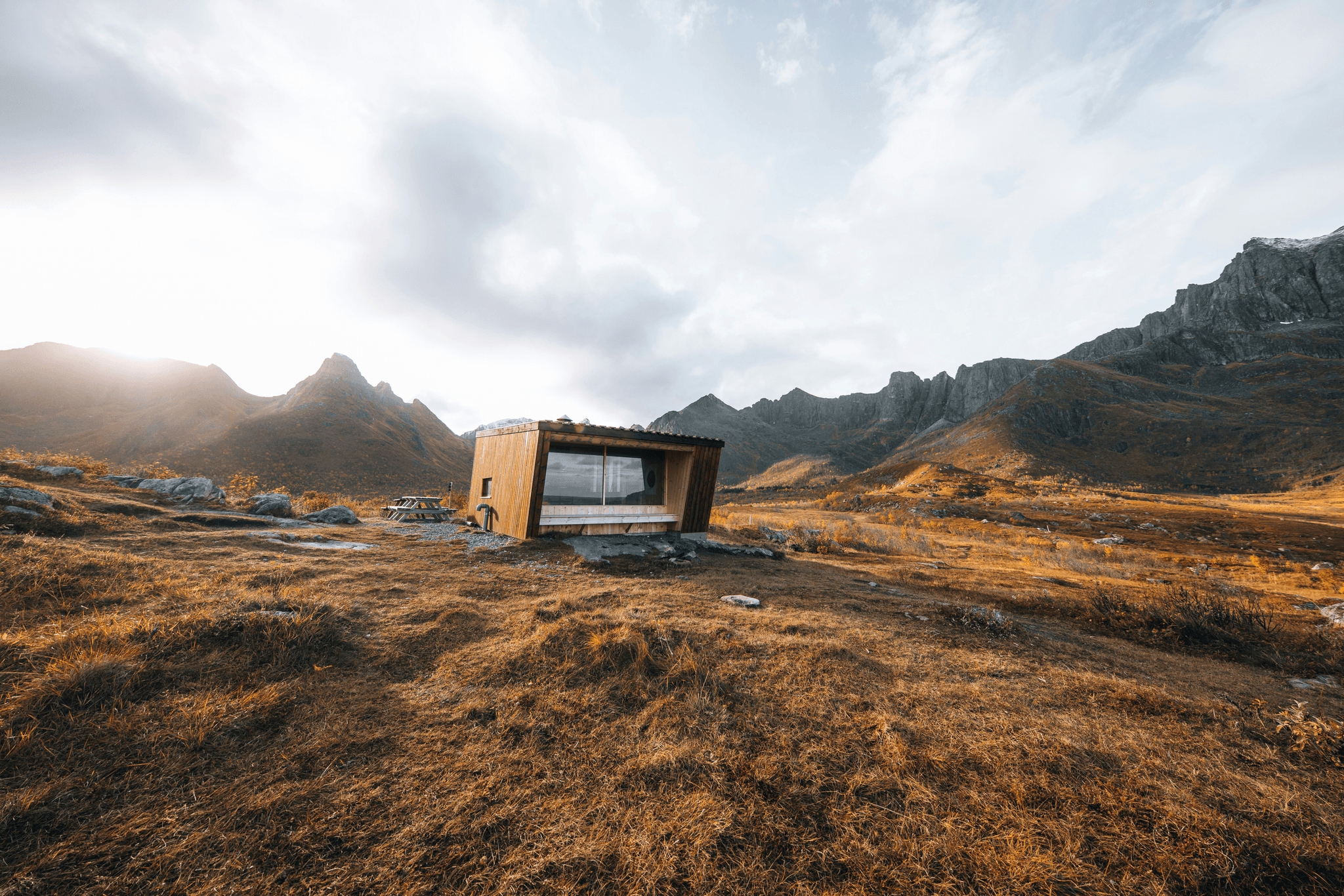 Various sizes of modular cabins nestled in nature