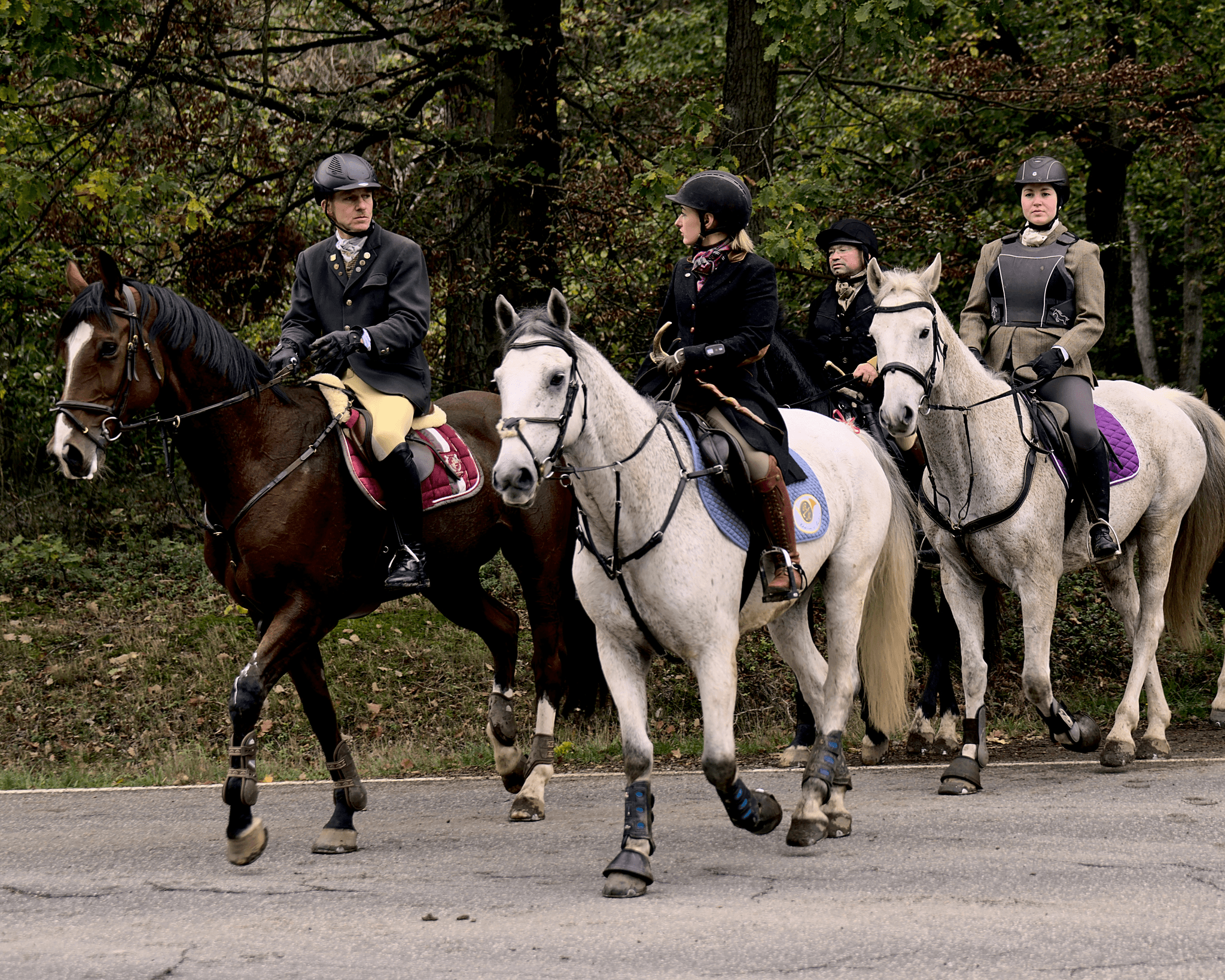 Join us for immersive horse camps where participants can learn about horse care, riding, and teamwork. Our camps are designed to foster a love for horses while teaching essential skills in a fun and supportive environment. Horse Camps What We Offer Equestrian Barn providing riding lessons, camps, and boarding for horses.