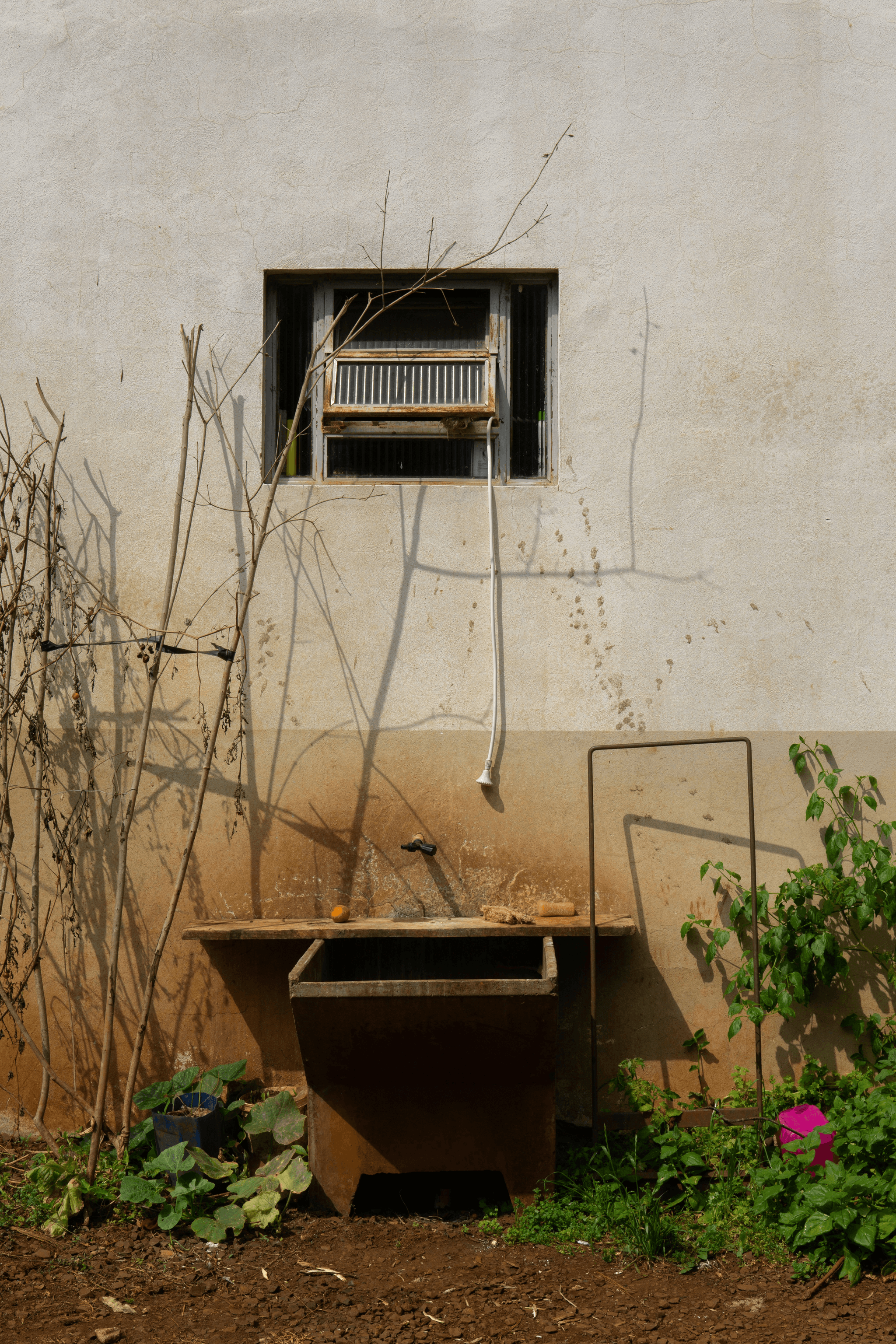 Eco-friendly house rainwater harvesting system