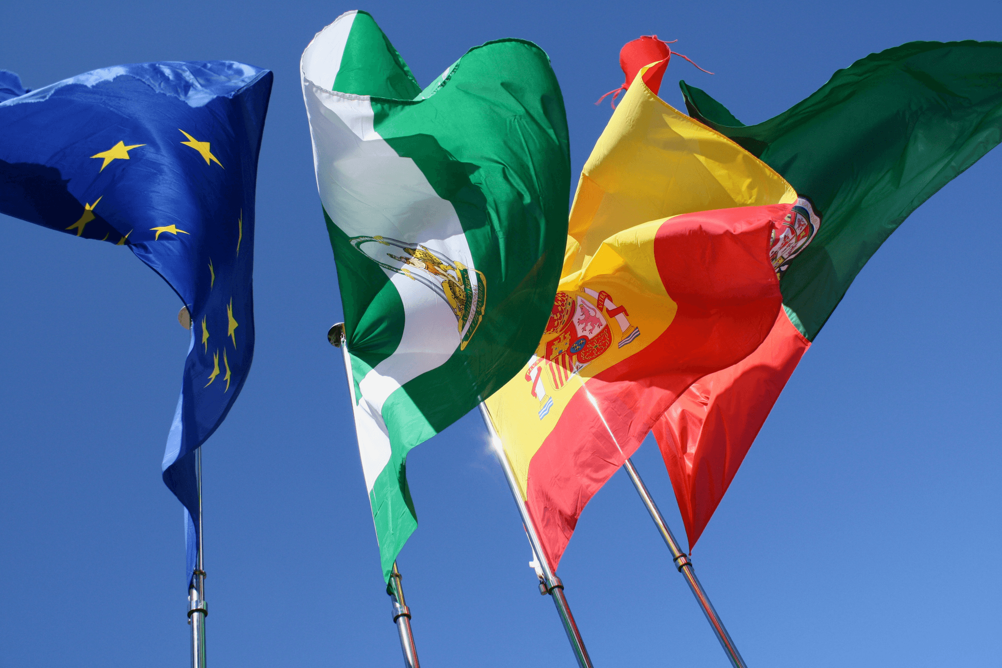 多語言網站全球代表性，涵蓋多種語言