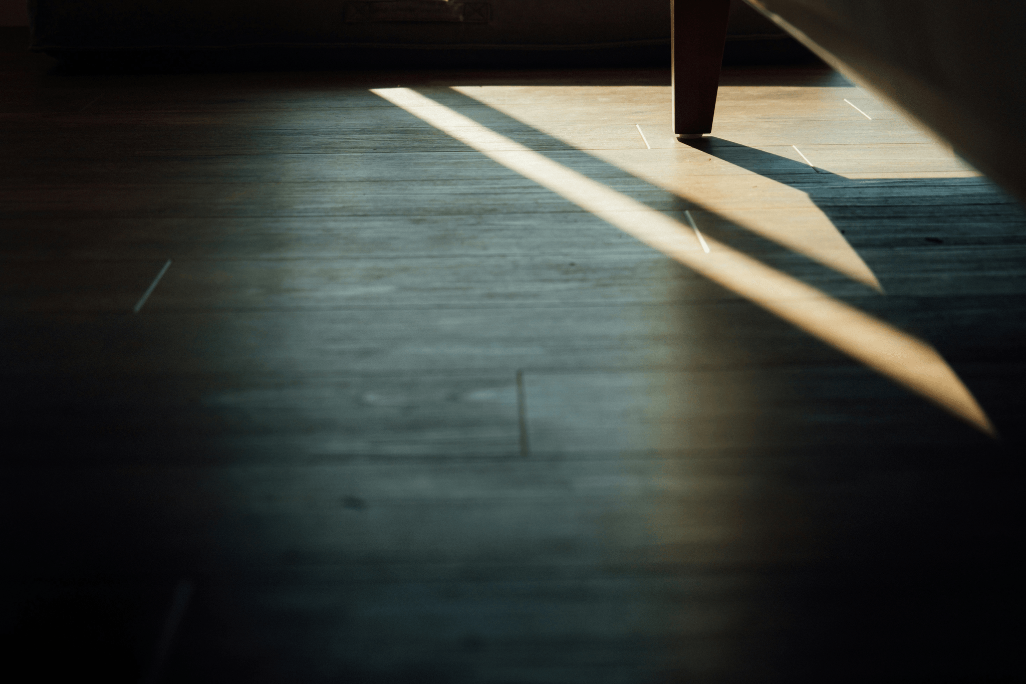 Heavy Duty Vinyl Flooring showcasing vibrant styles resistant to fading