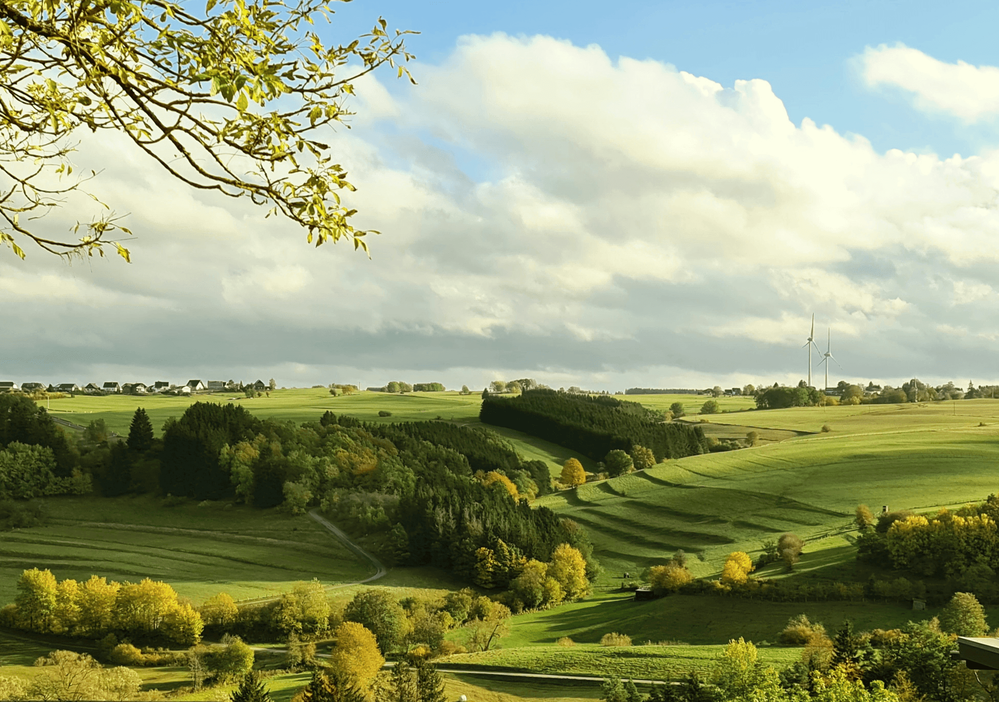 visual representation of sustainable sourcing and technology