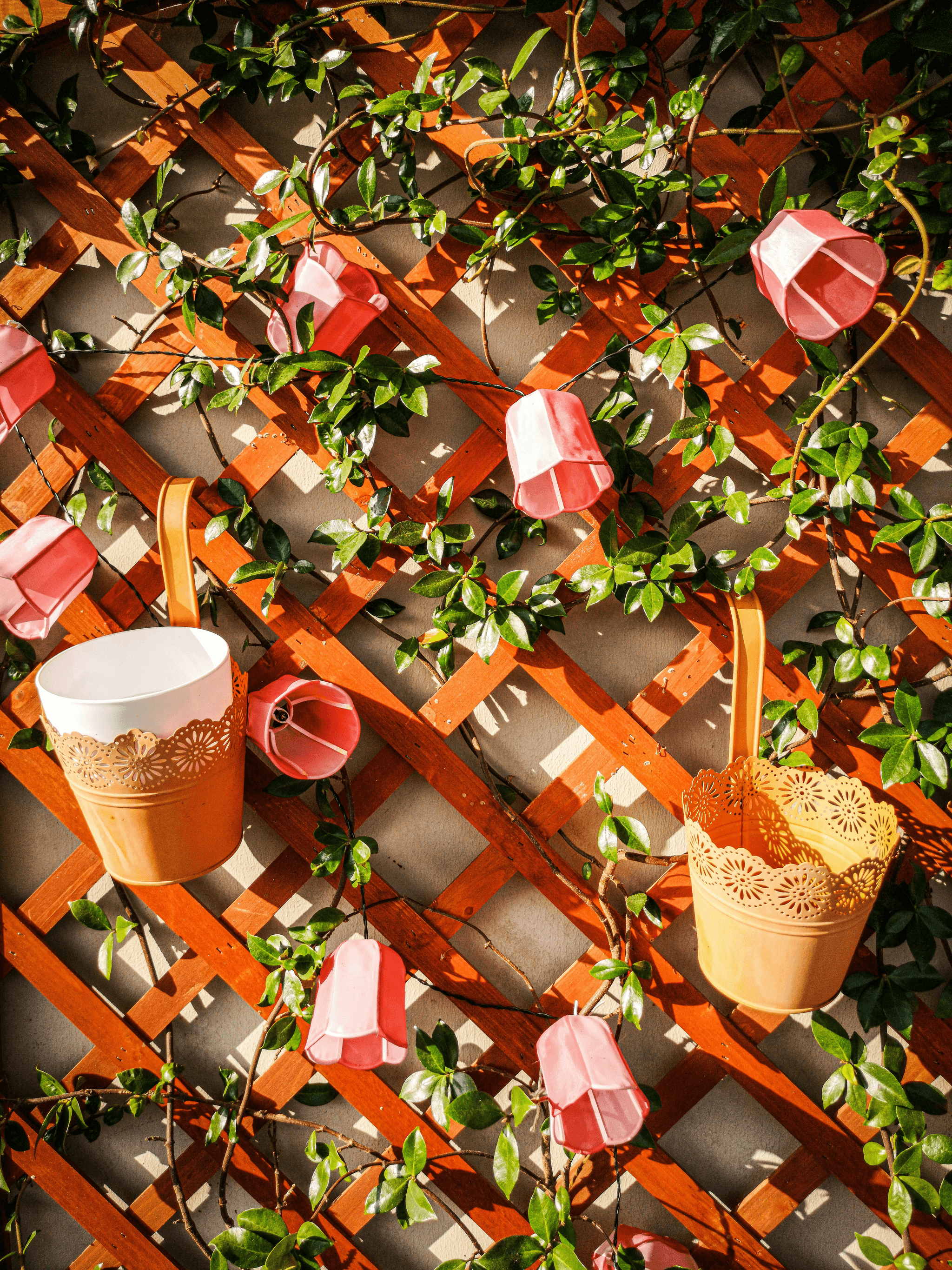 Holiday container brings cheer to outdoor space