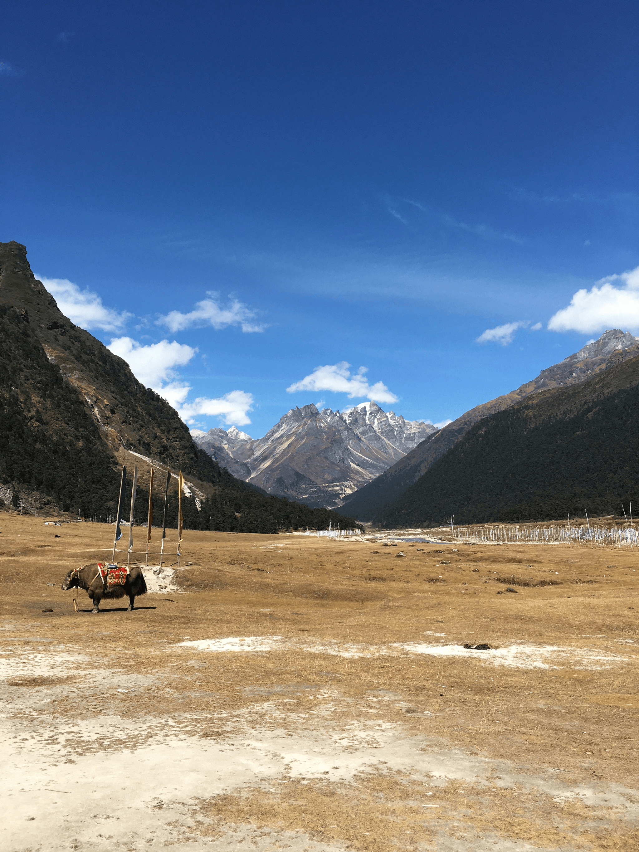 Stunning view showcasing plateau in tibet's natural beauty.
