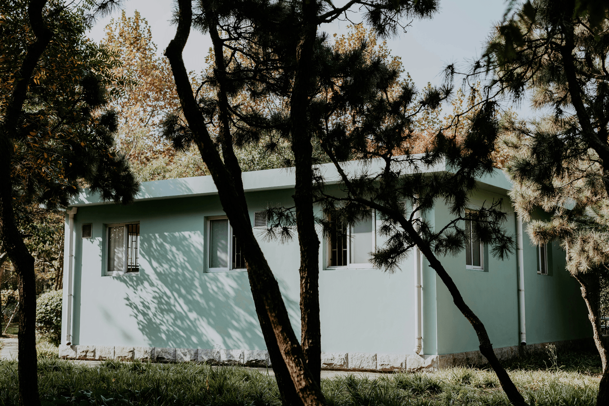 Illustration showcasing various designs of prefabricated tiny houses