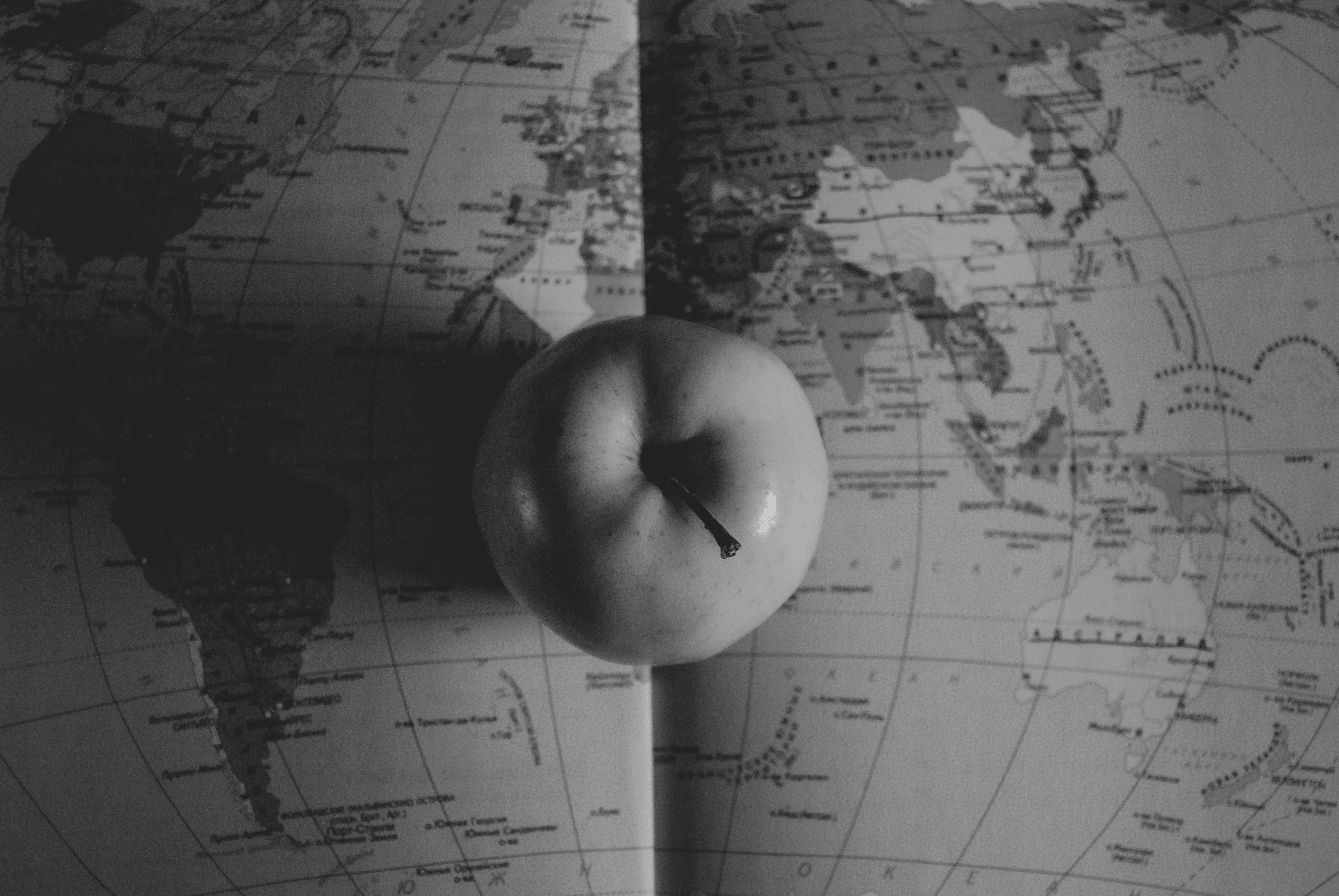 Exploring Global Sourcing Options