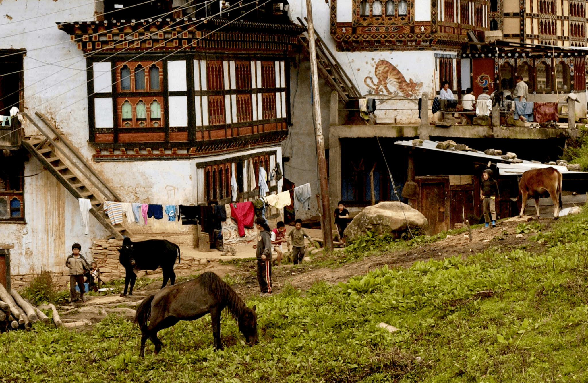 The Significance of Yaks for Tibetan People in cultural context