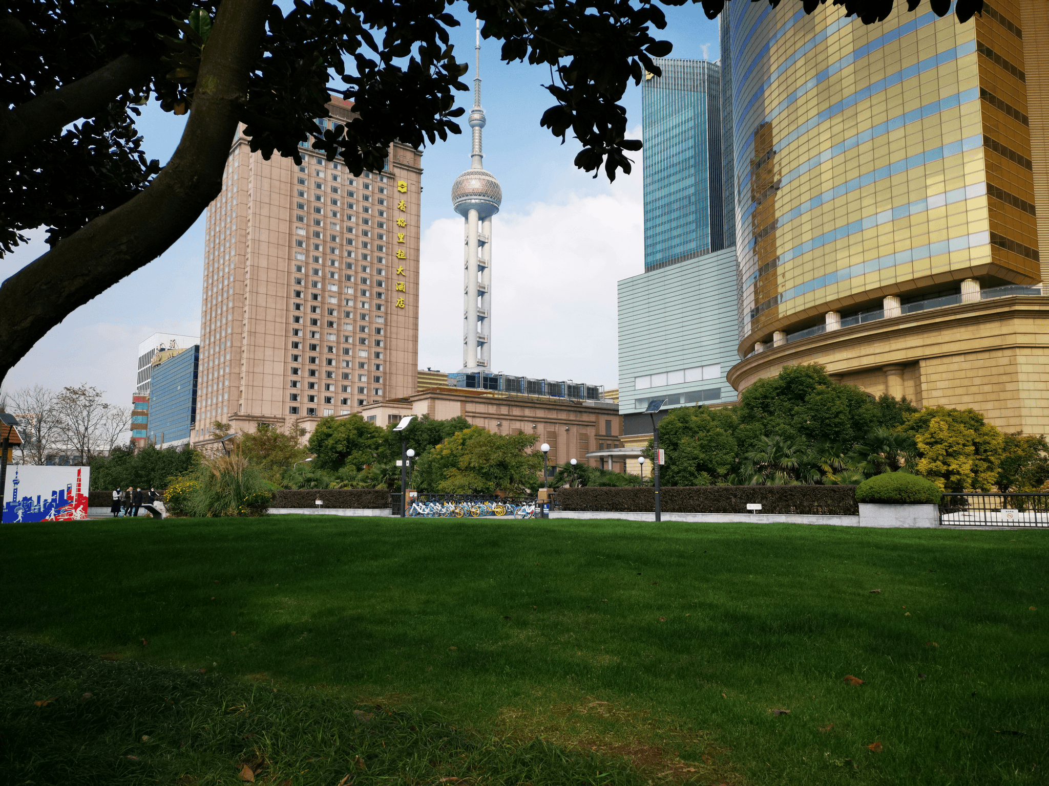 What do Shanghai, Beijing, and other major metropolises of China have in common? Green spaces preservation