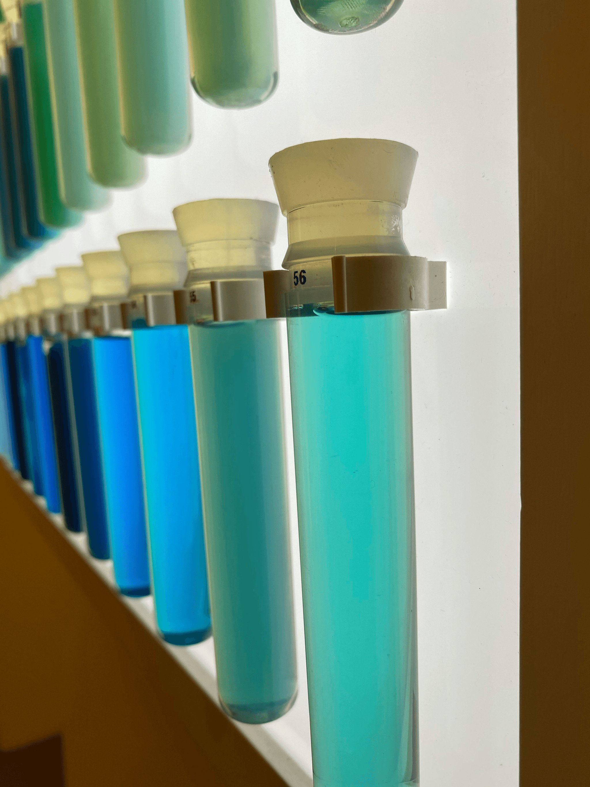 A detailed image showing a Color Fastness Test setup for perspiration and water fastness evaluation