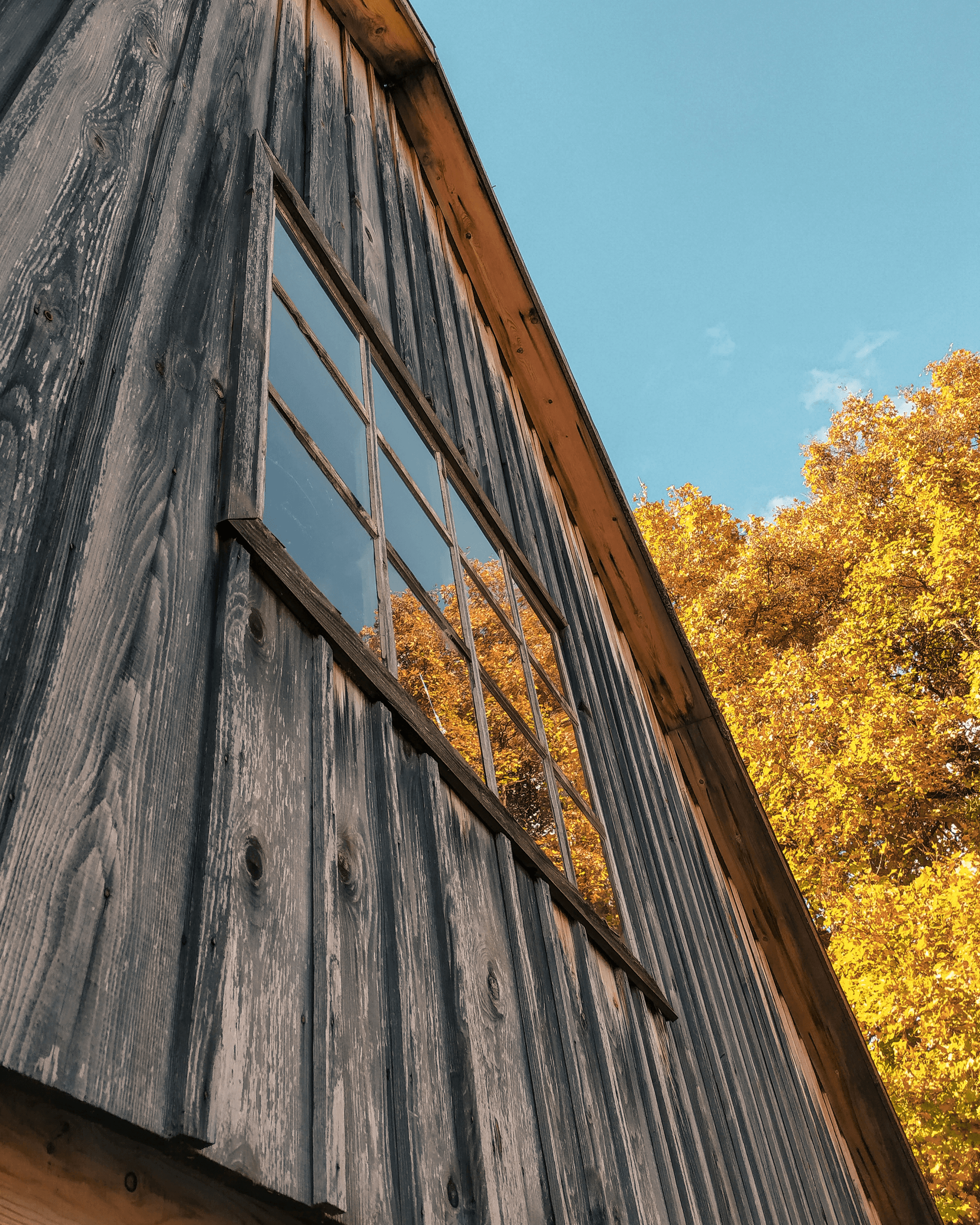 stunning black barn showcasing innovative steel house designs