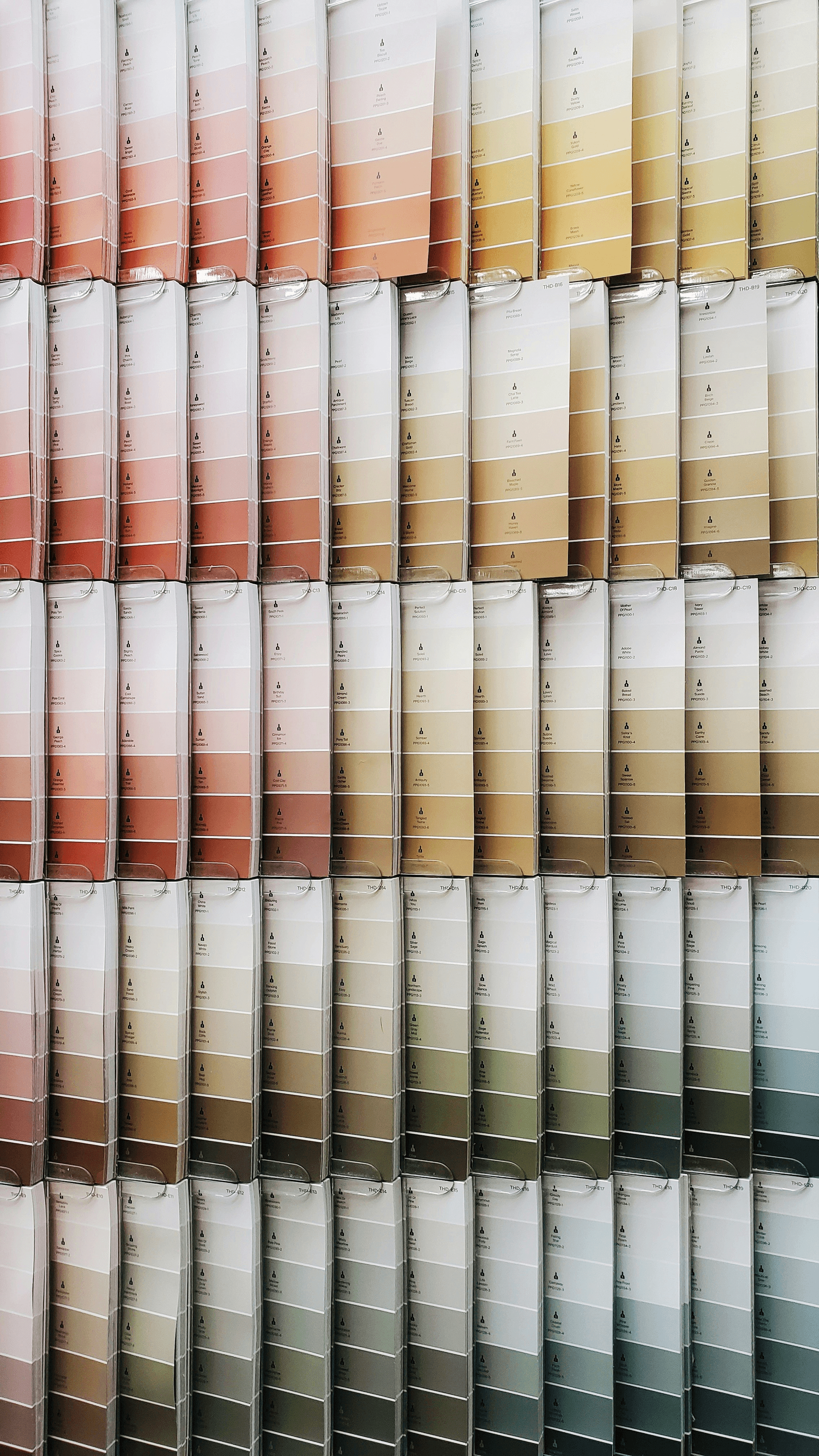Vibrant display of Pantone Colors showcasing their significance.