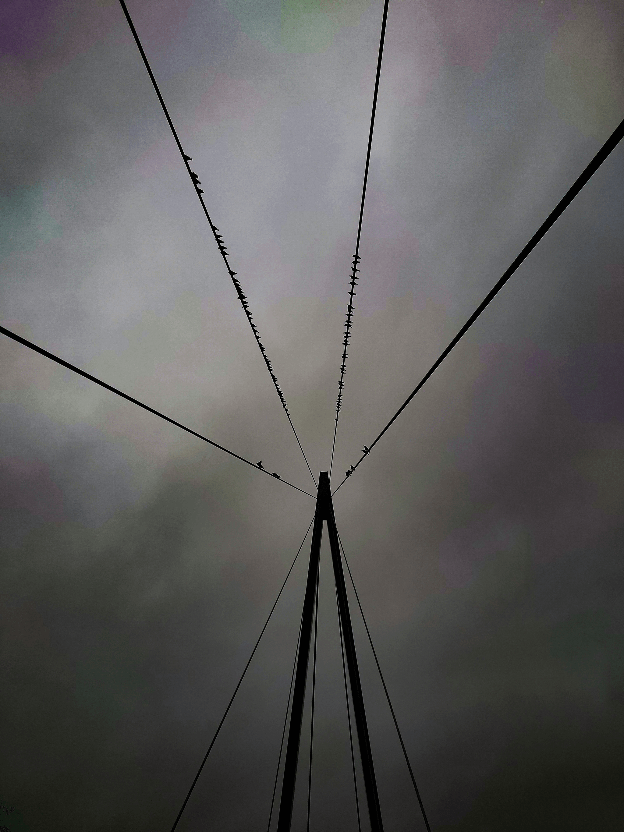 Stockbridge damper in transmission line enhancing stability