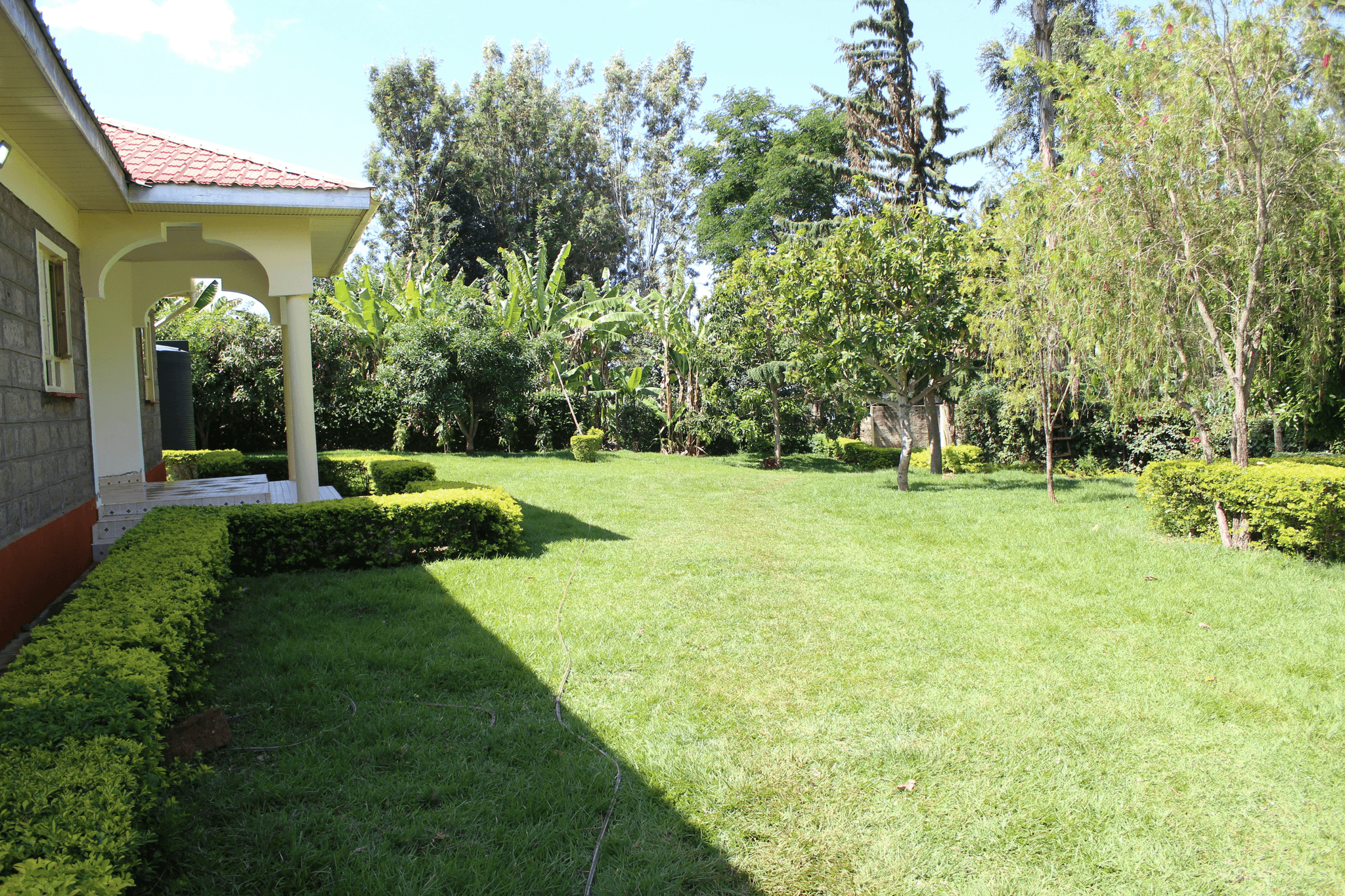 Stump Grinding leaves a perfect yard