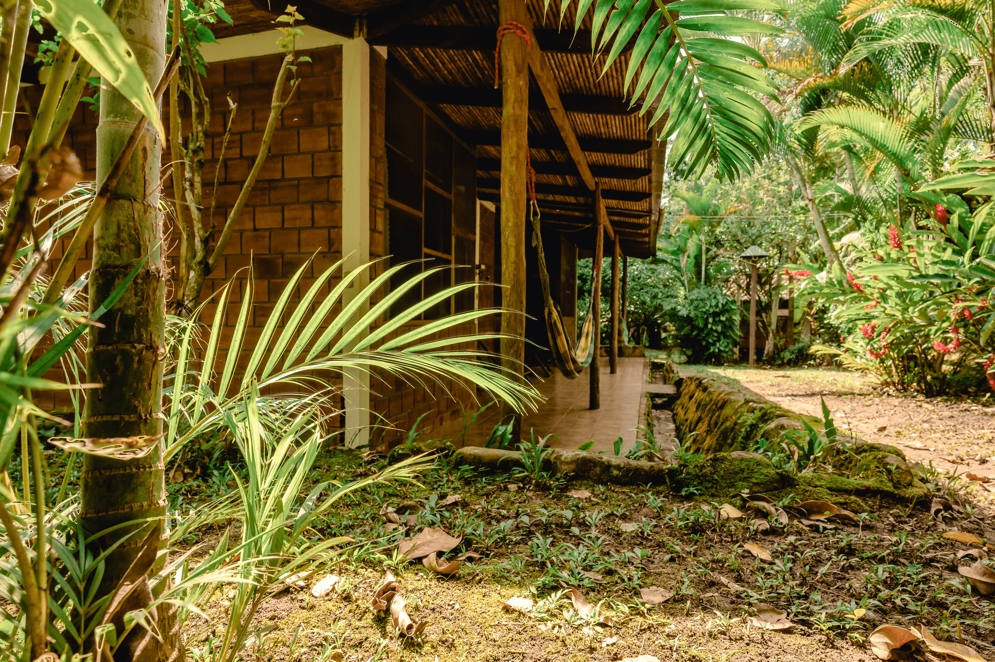 tiny houses prefab with modern design features