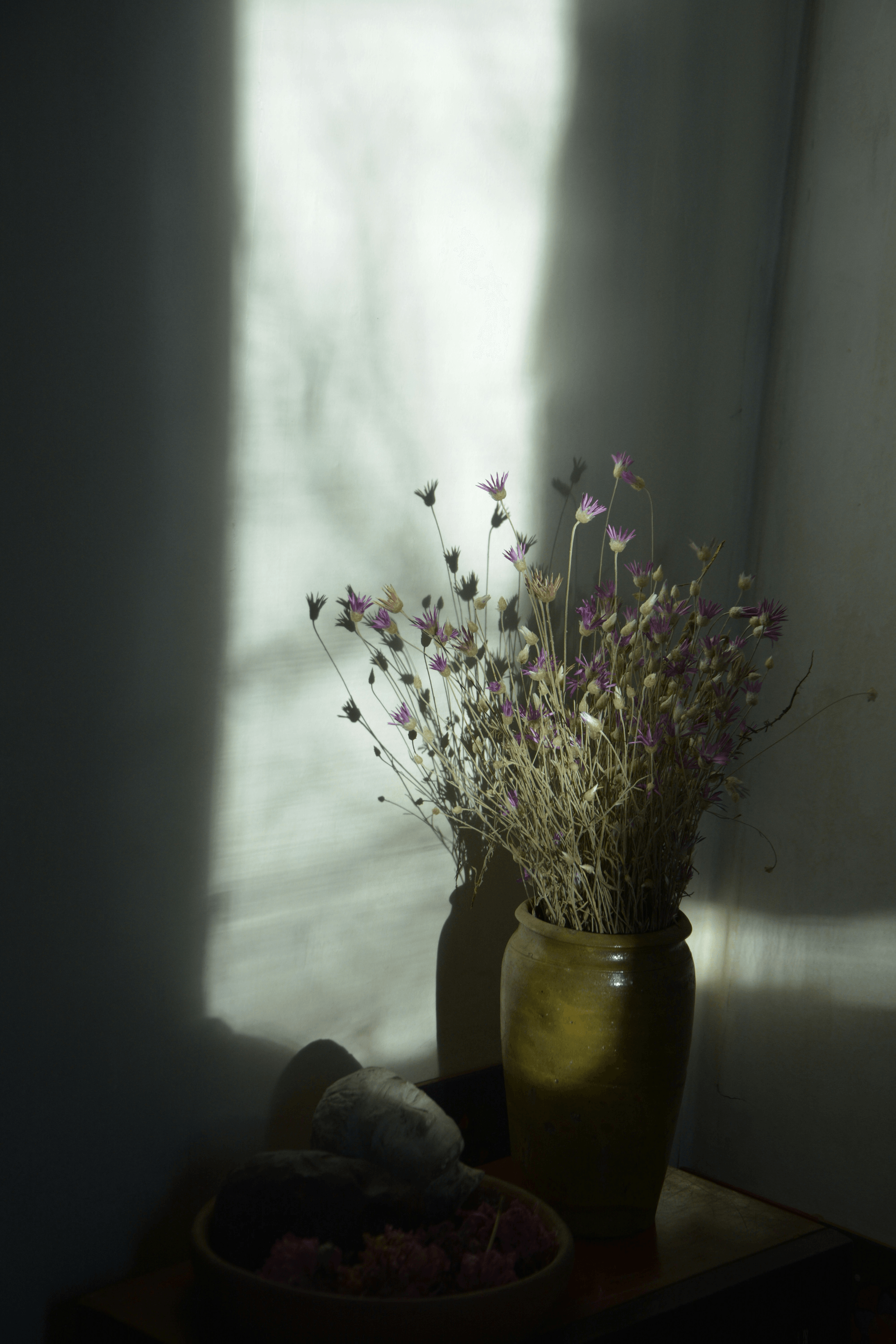 where to buy preserved flowers