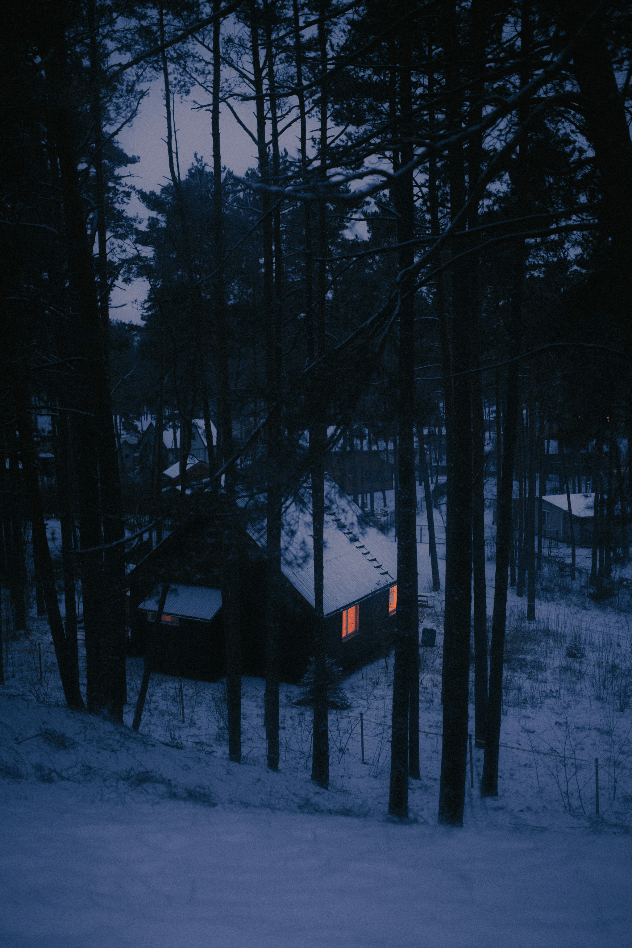 Modern cabin nestled in forest setting - perfect example of prefab modern cabins