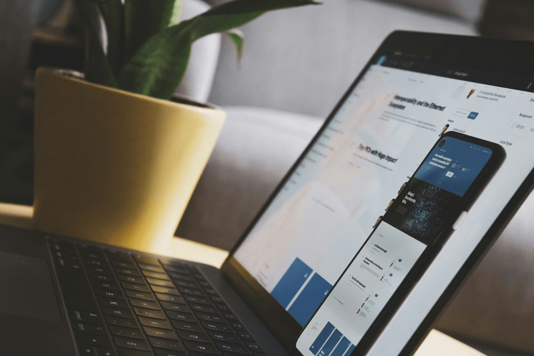 Comparing different cheap website builders on laptop