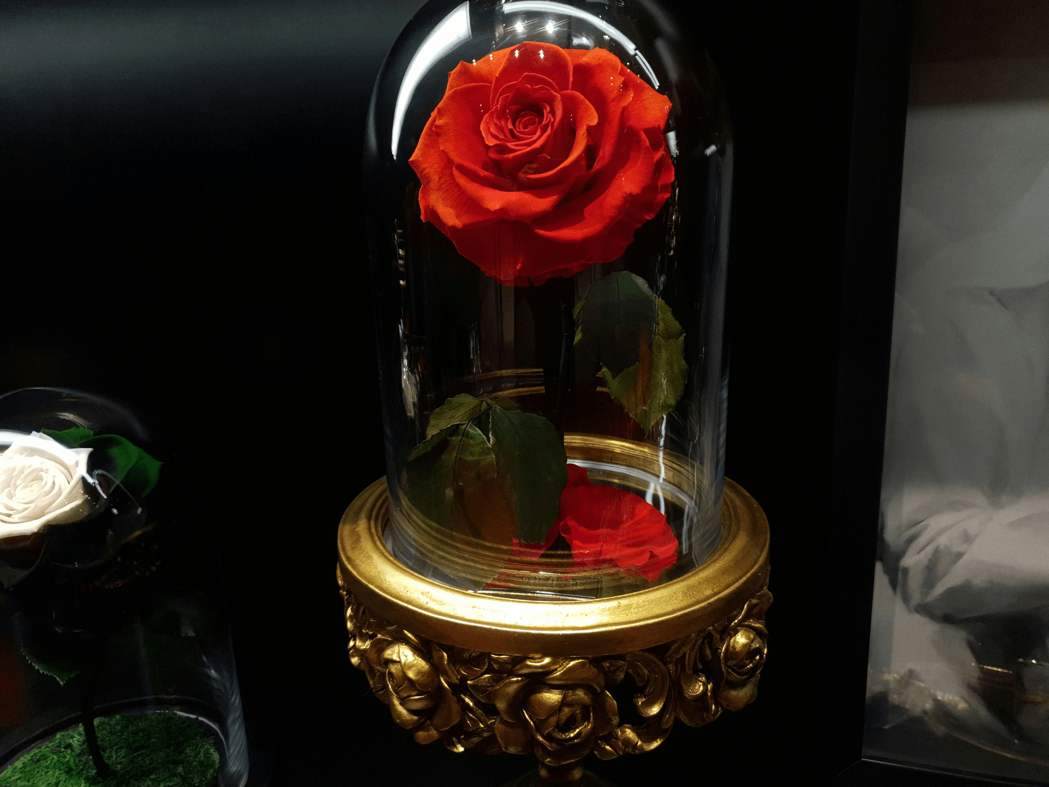 What are Preserved Roses - Eternal Rose Bouquet