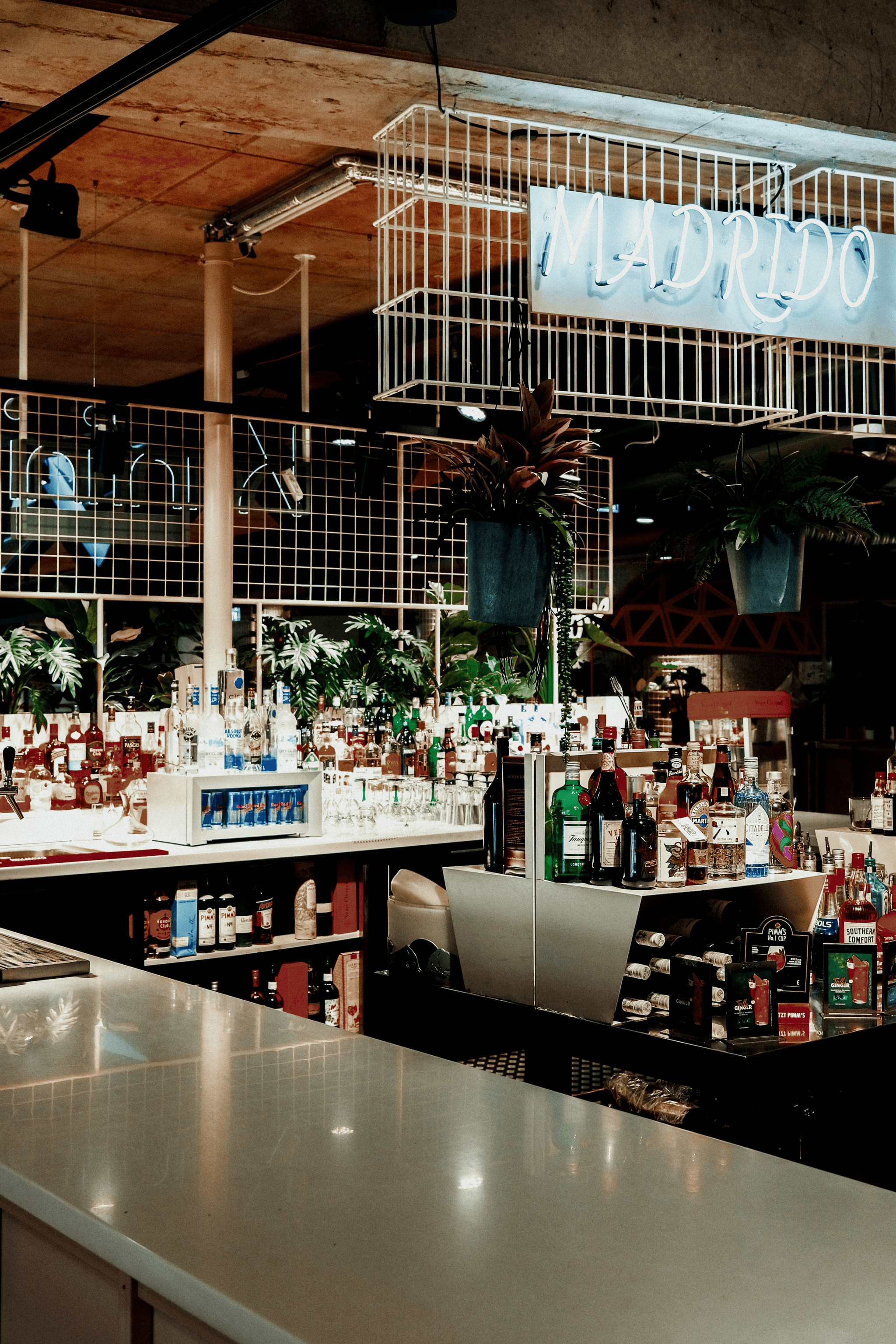 Precio contenedor bar: opciones económicas para emprendedores.