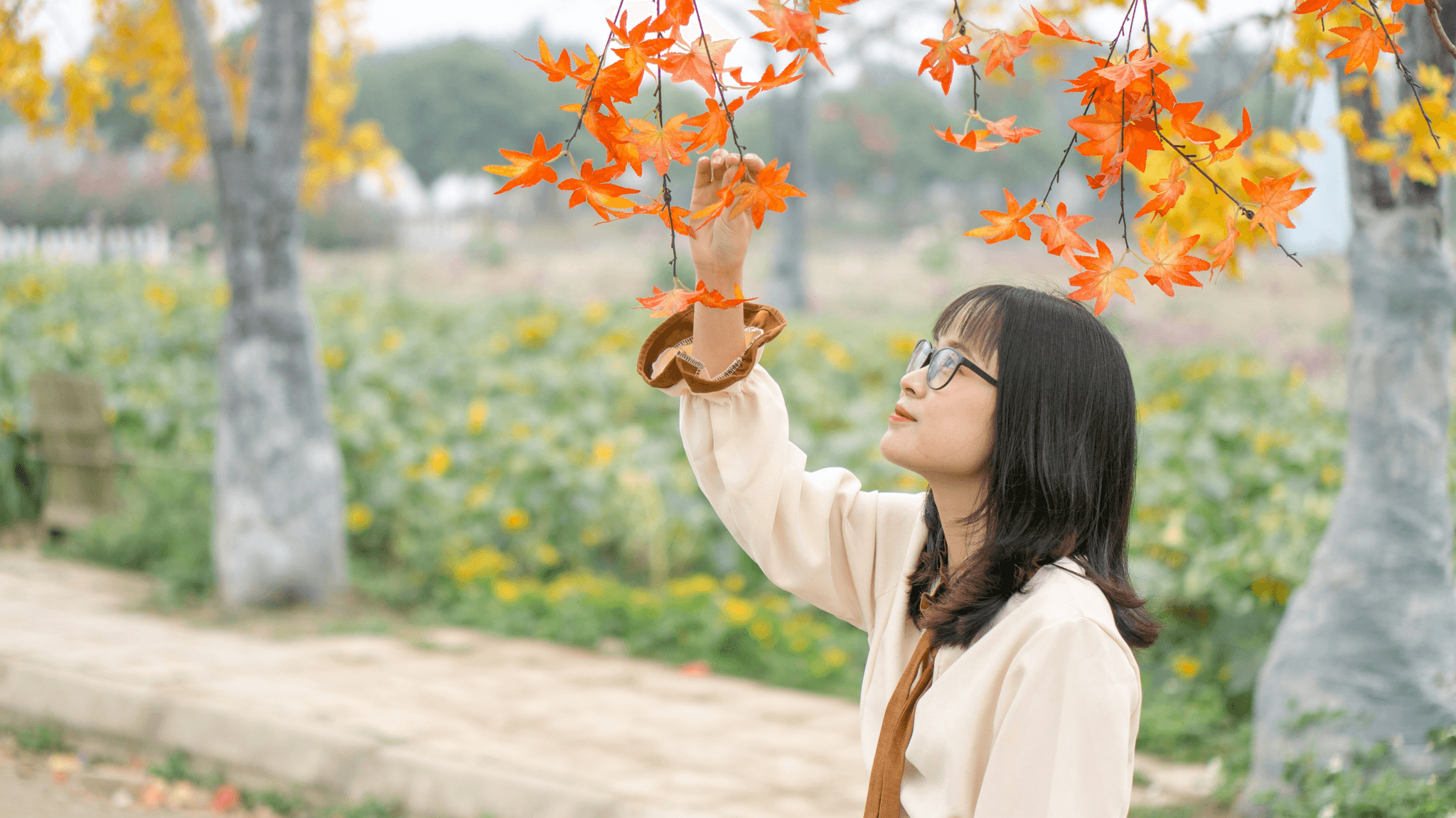 入秋保健懶人包：日夜溫差大，小心身體出小狀況！｜淺顯易懂的行醫筆記｜療寮診所．板橋江子翠｜家醫科診所．健保一般科