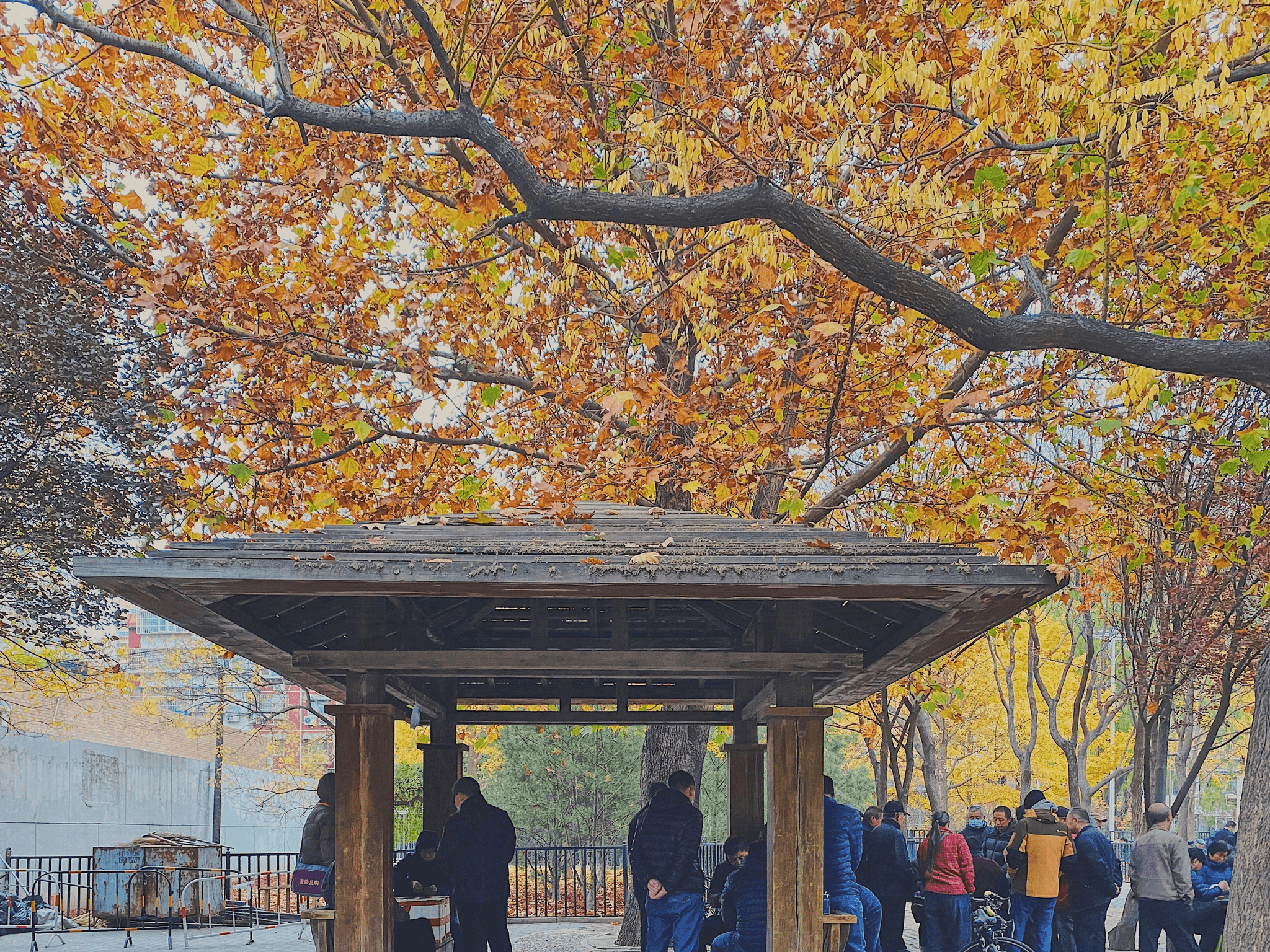 prefabricated ticket booth at an outdoor festival