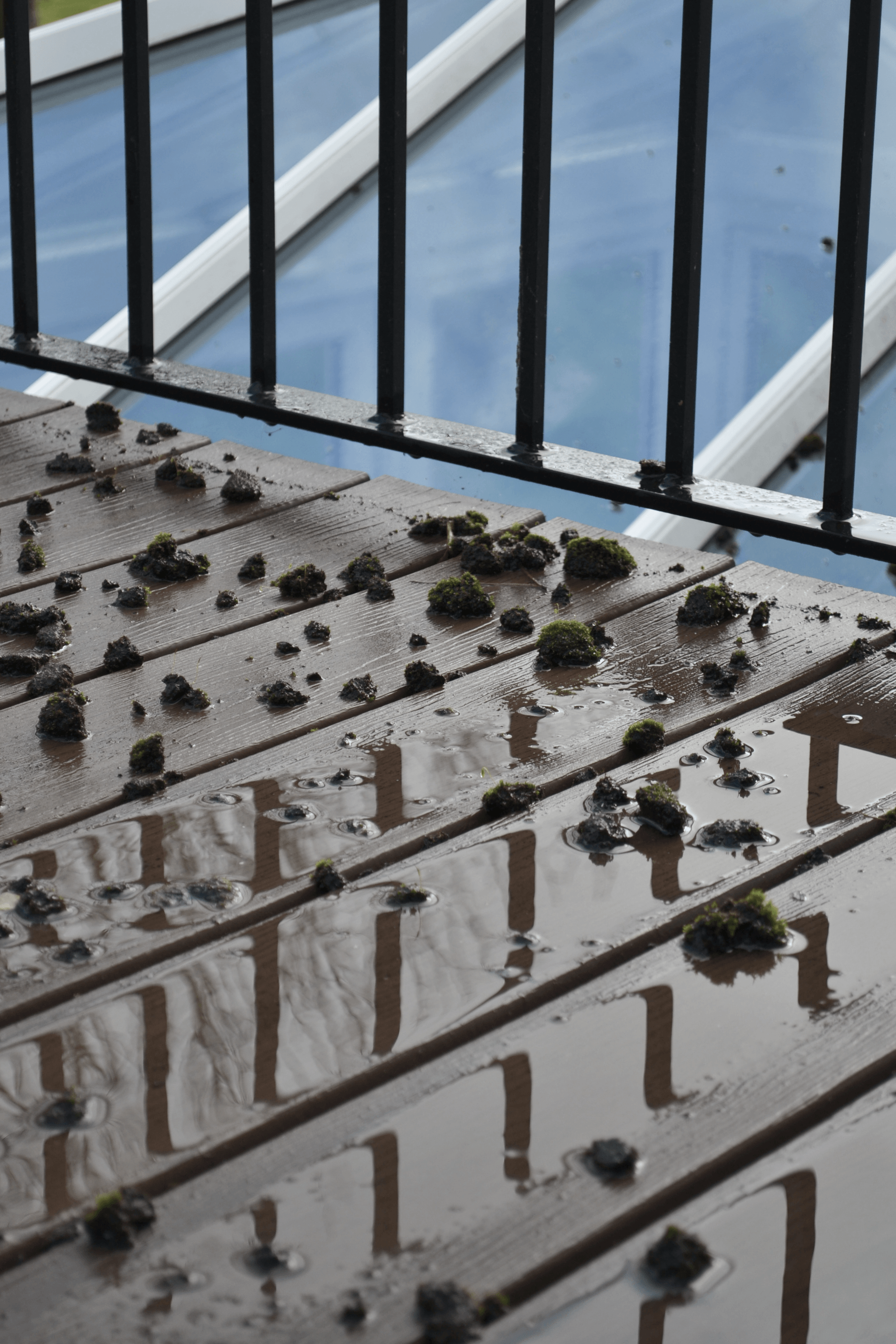 problems with pvc decking related to moisture damage