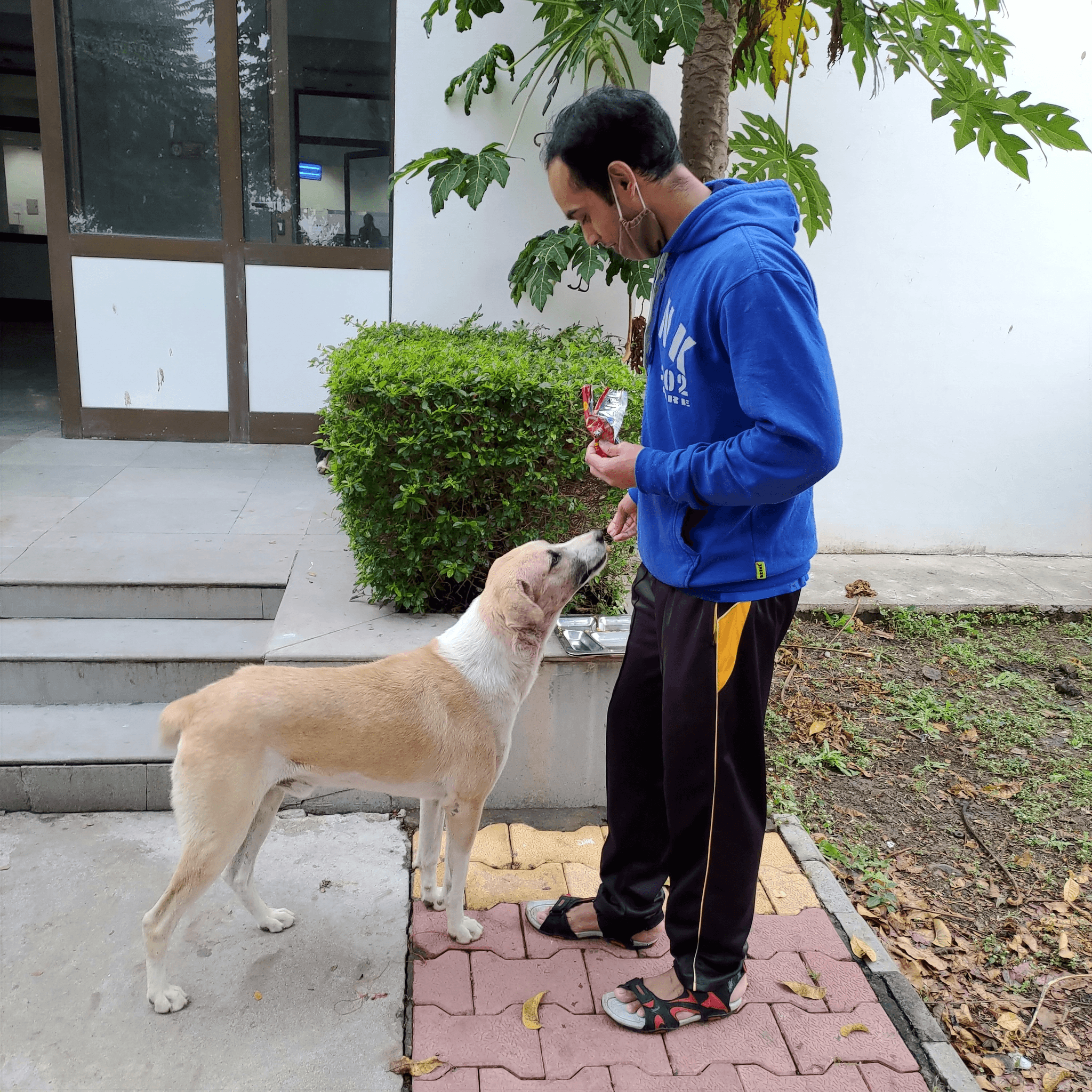 Schedule Your FREE Initial Training Consultation