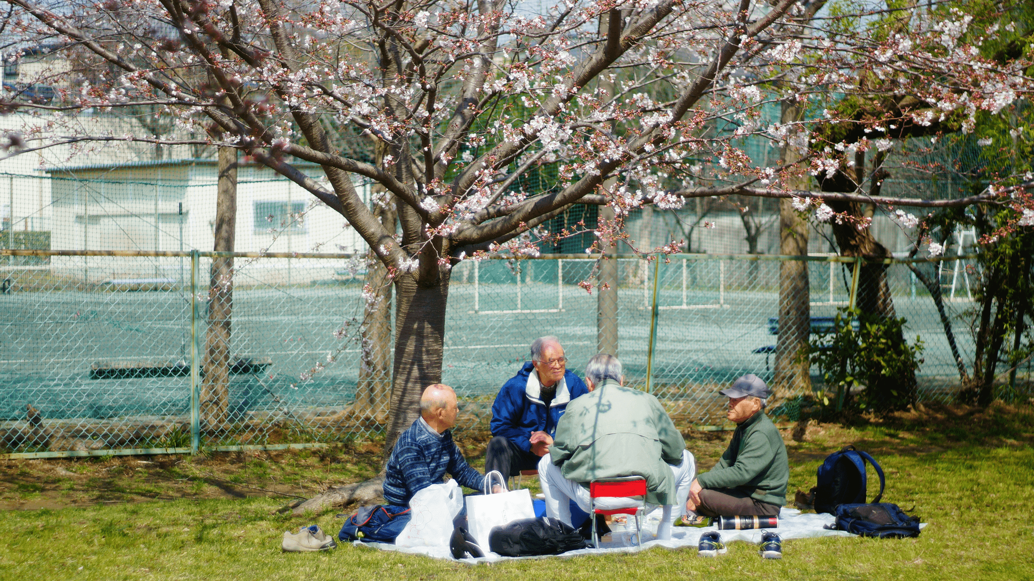 「過年聚會好多，我一定要去嗎？」——拆解過年聚會的「隱形壓力」｜健康解析｜身心靈｜療寮診所．板橋江子翠｜家醫科診所．心理諮商